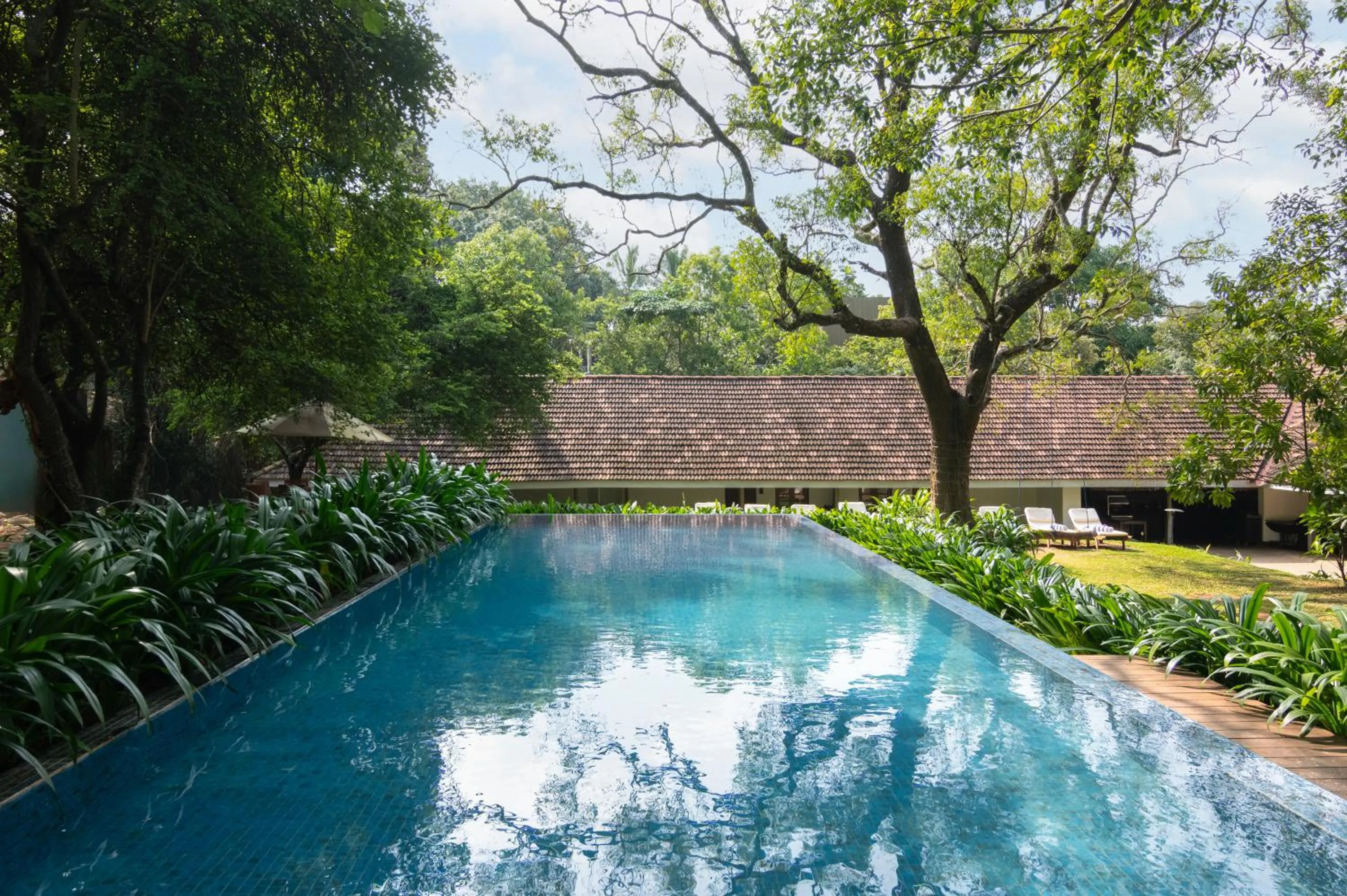 Pool view in EKHO Sigiriya - 700 meters to Sigiriya Rock