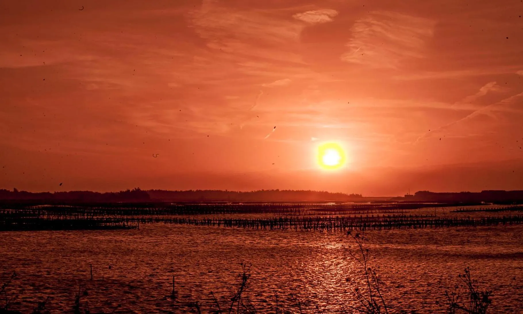 Summer in Light Shadow