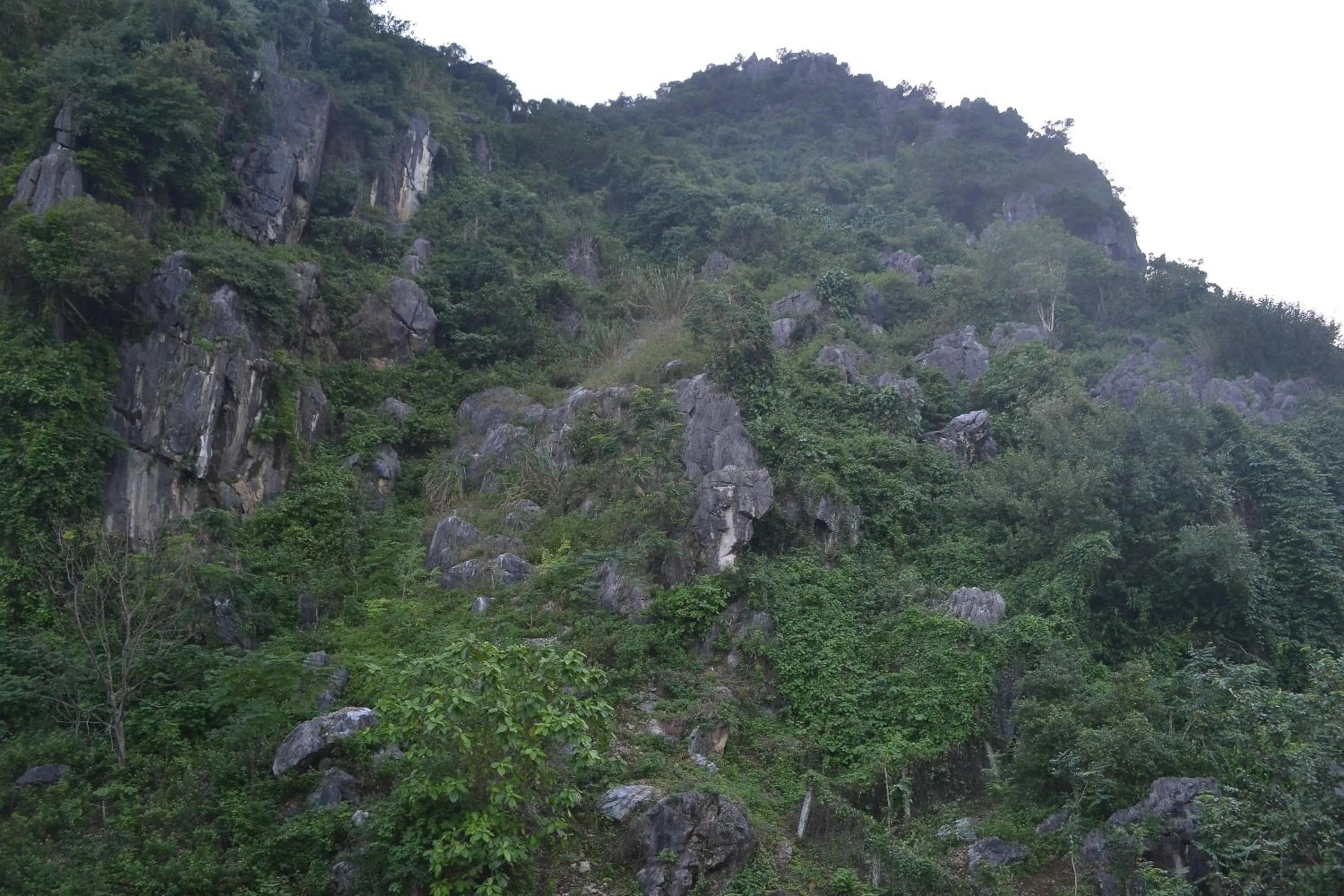 Mountain view in Phong Nha Homestay