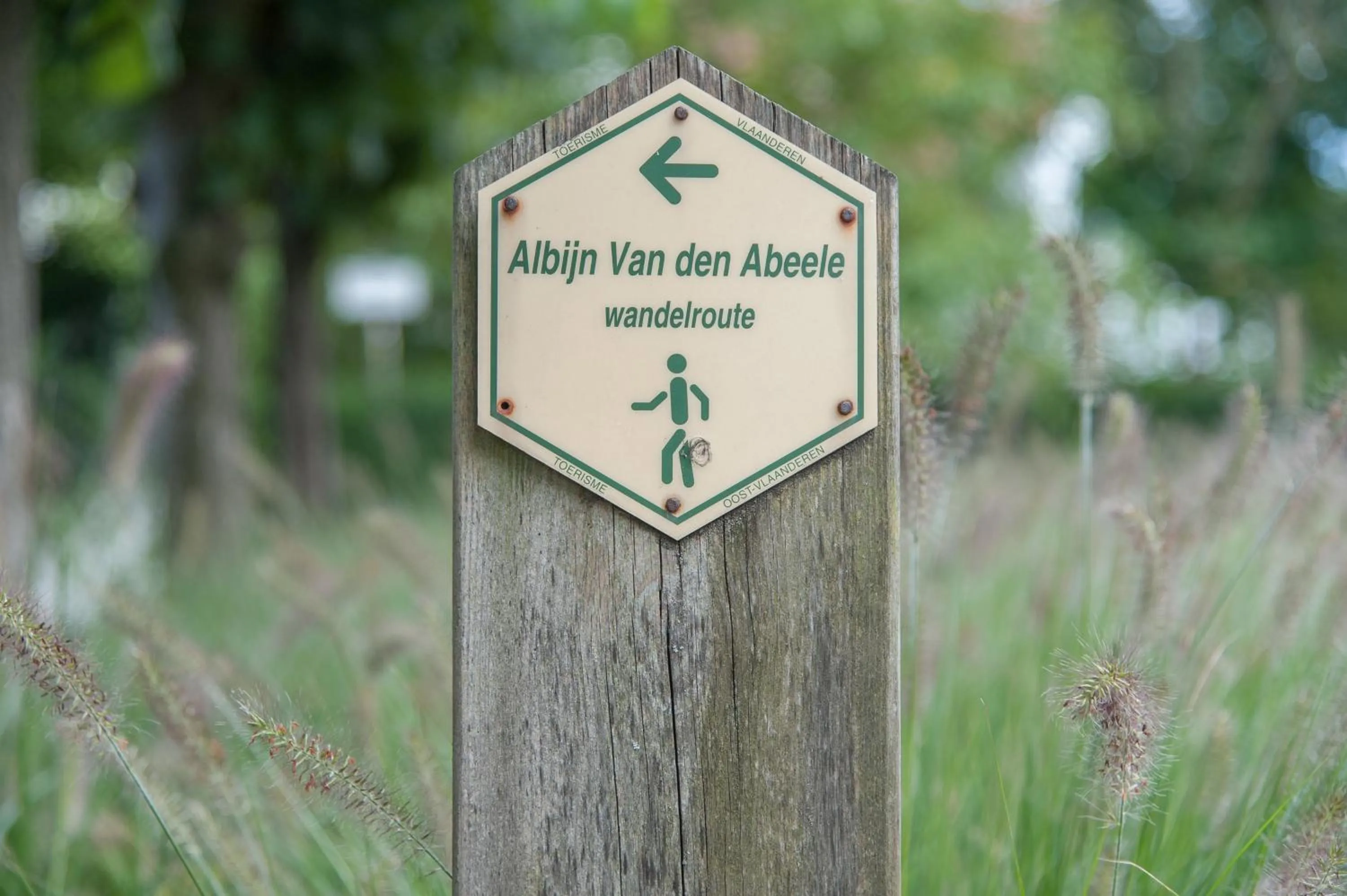 Garden in Hotel Torenhof