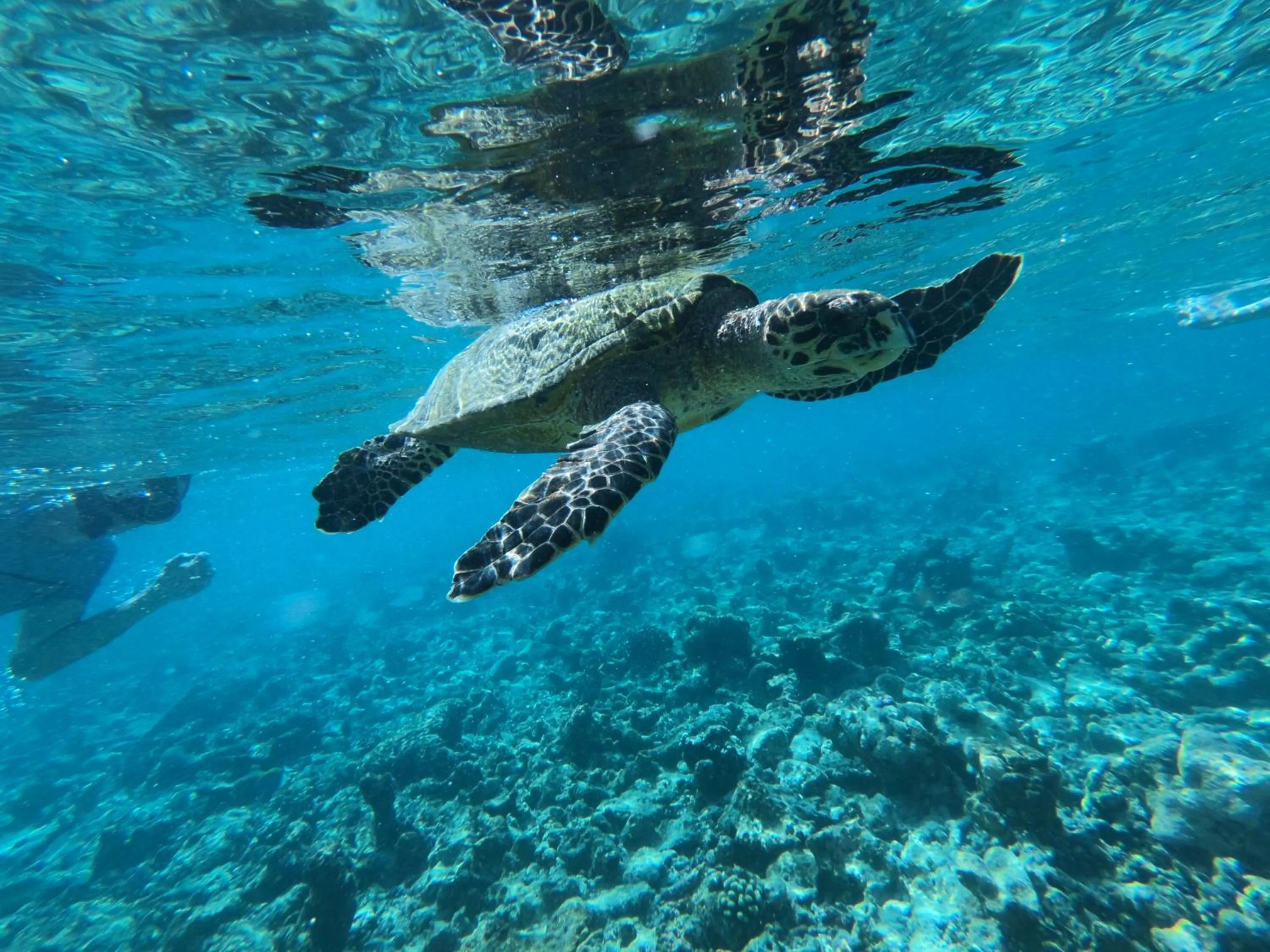 Off site in The Sunrise Huraa