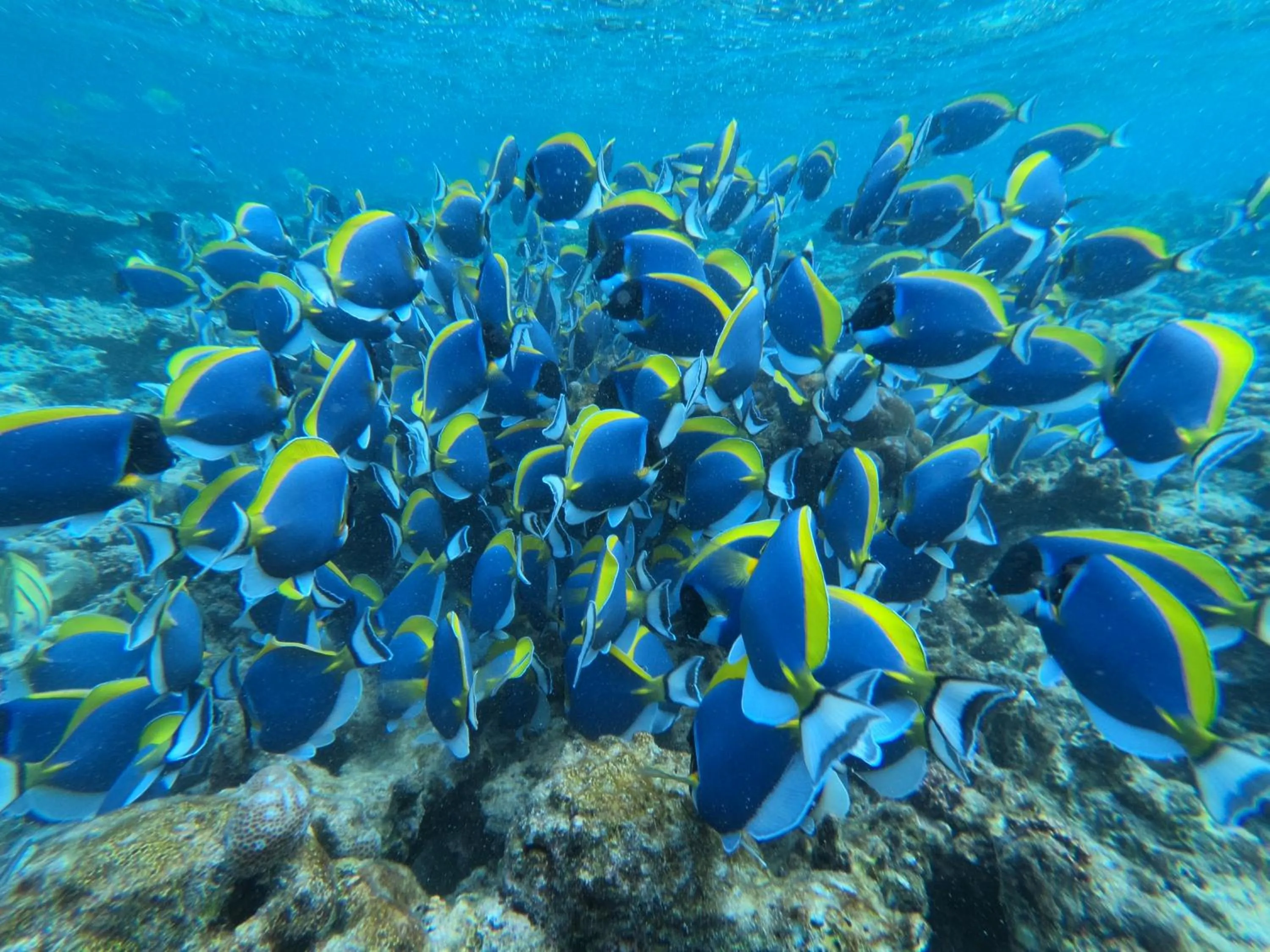 Off site in The Sunrise Huraa