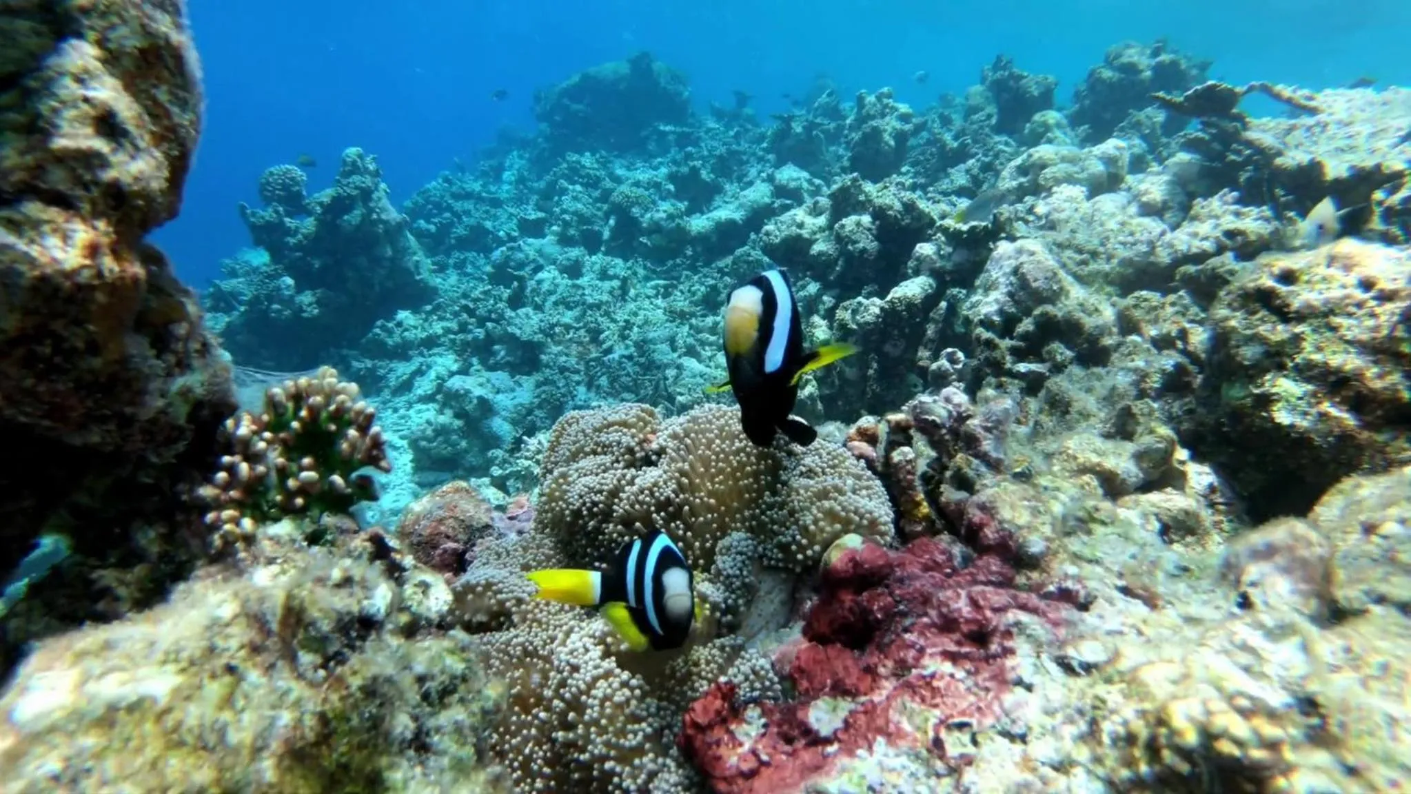 Off site in The Sunrise Huraa