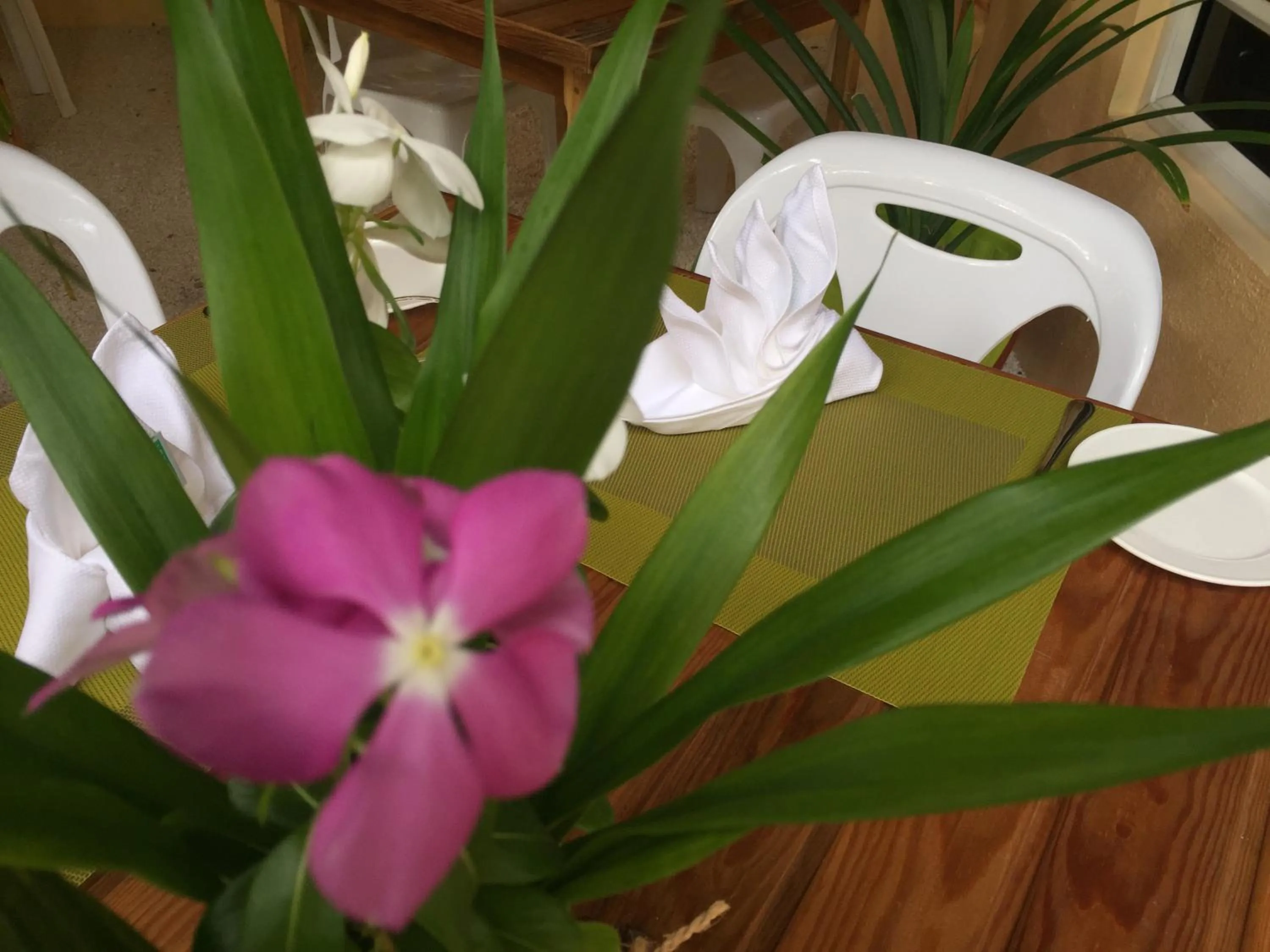 Restaurant/places to eat in The Sunrise Huraa