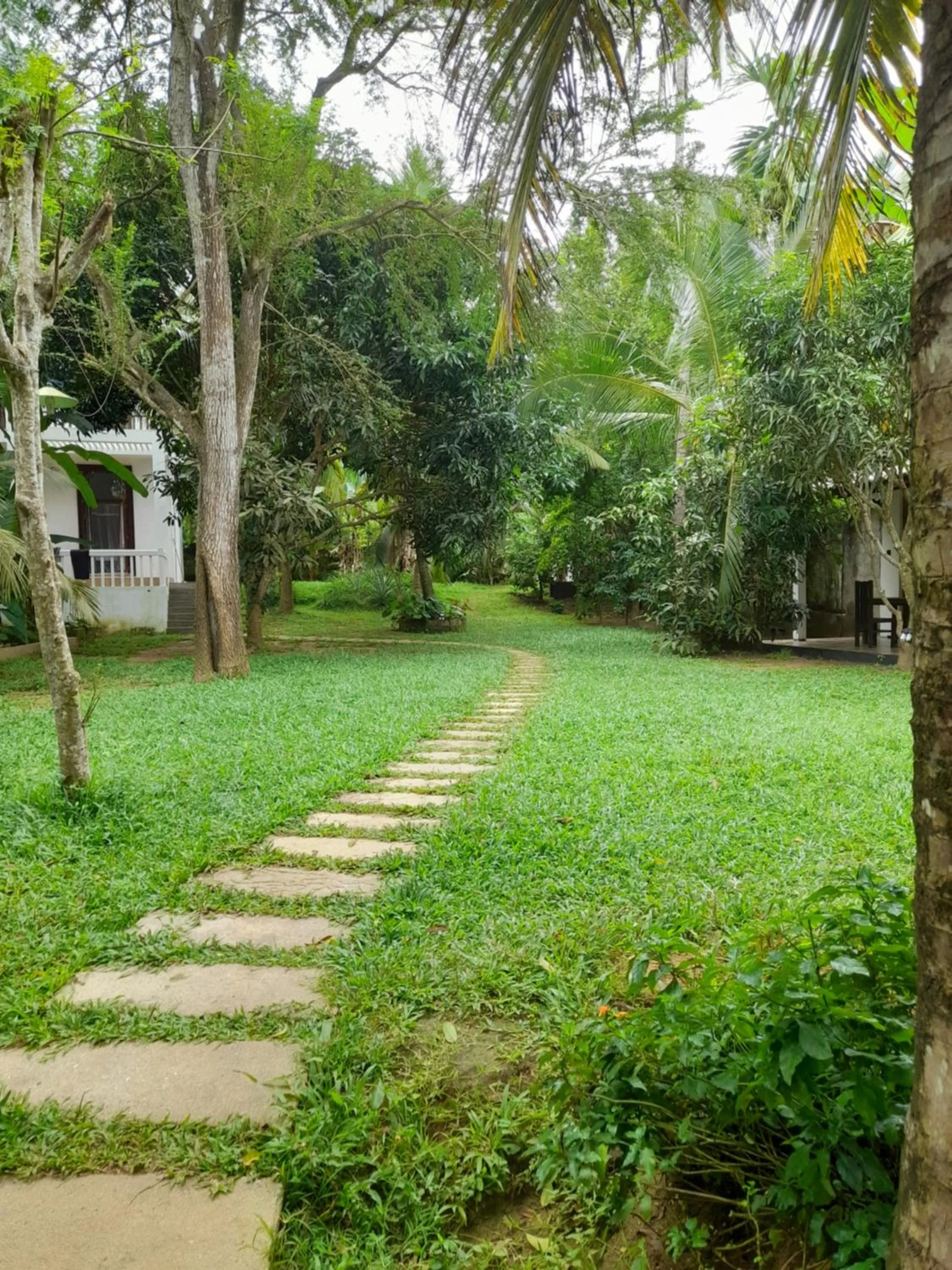 Garden in Dinuri villa