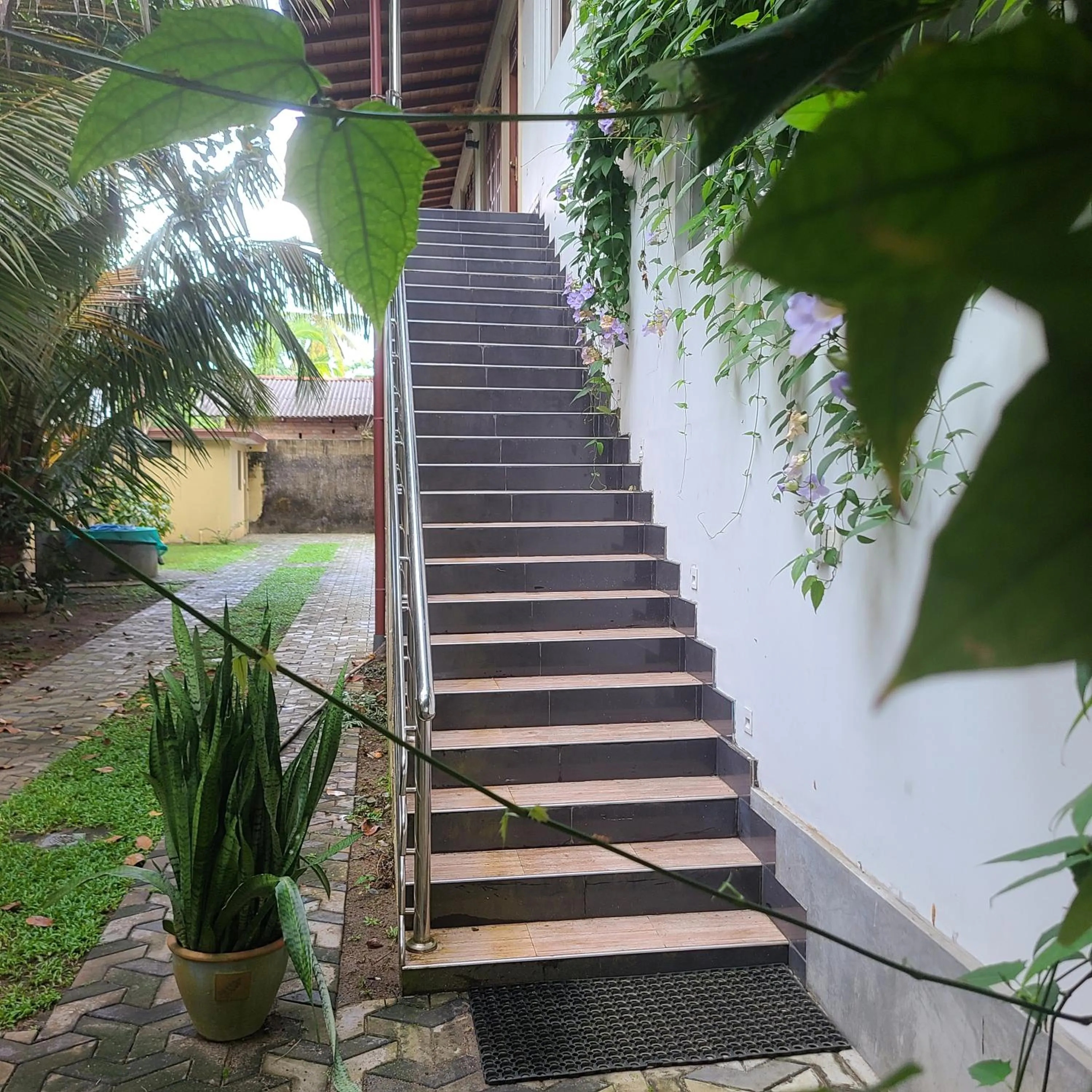 Garden view in GG Lodge Mirissa