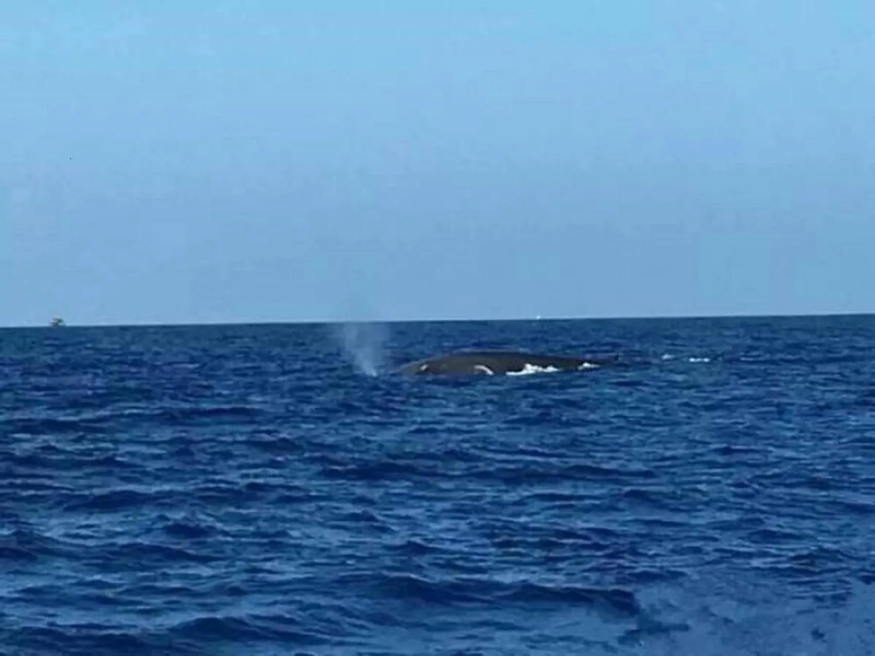 Natural landscape in GG Lodge Mirissa