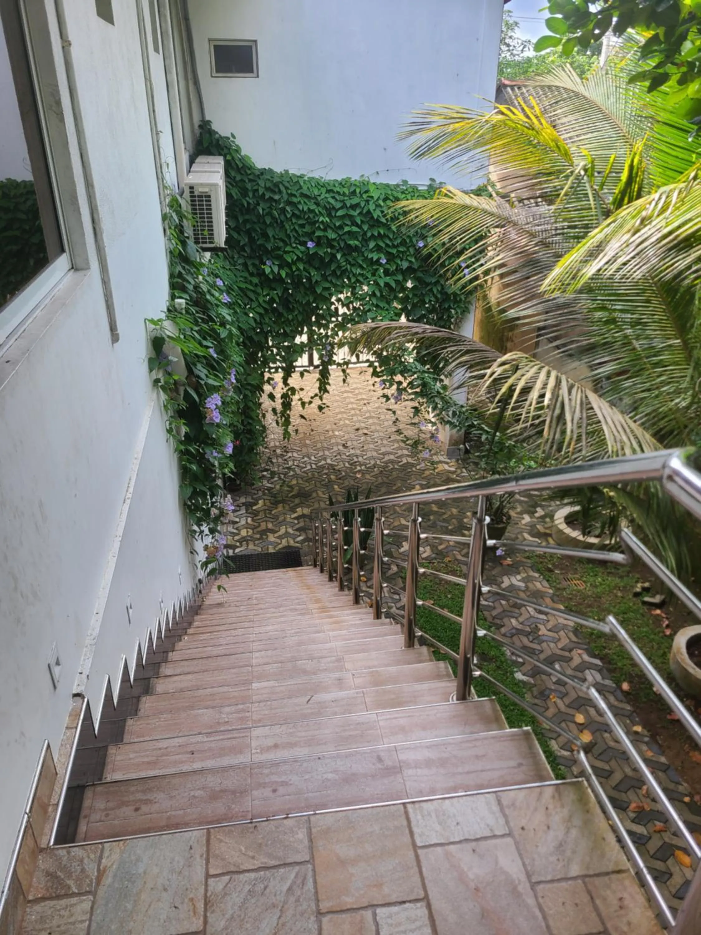 Garden in GG Lodge Mirissa