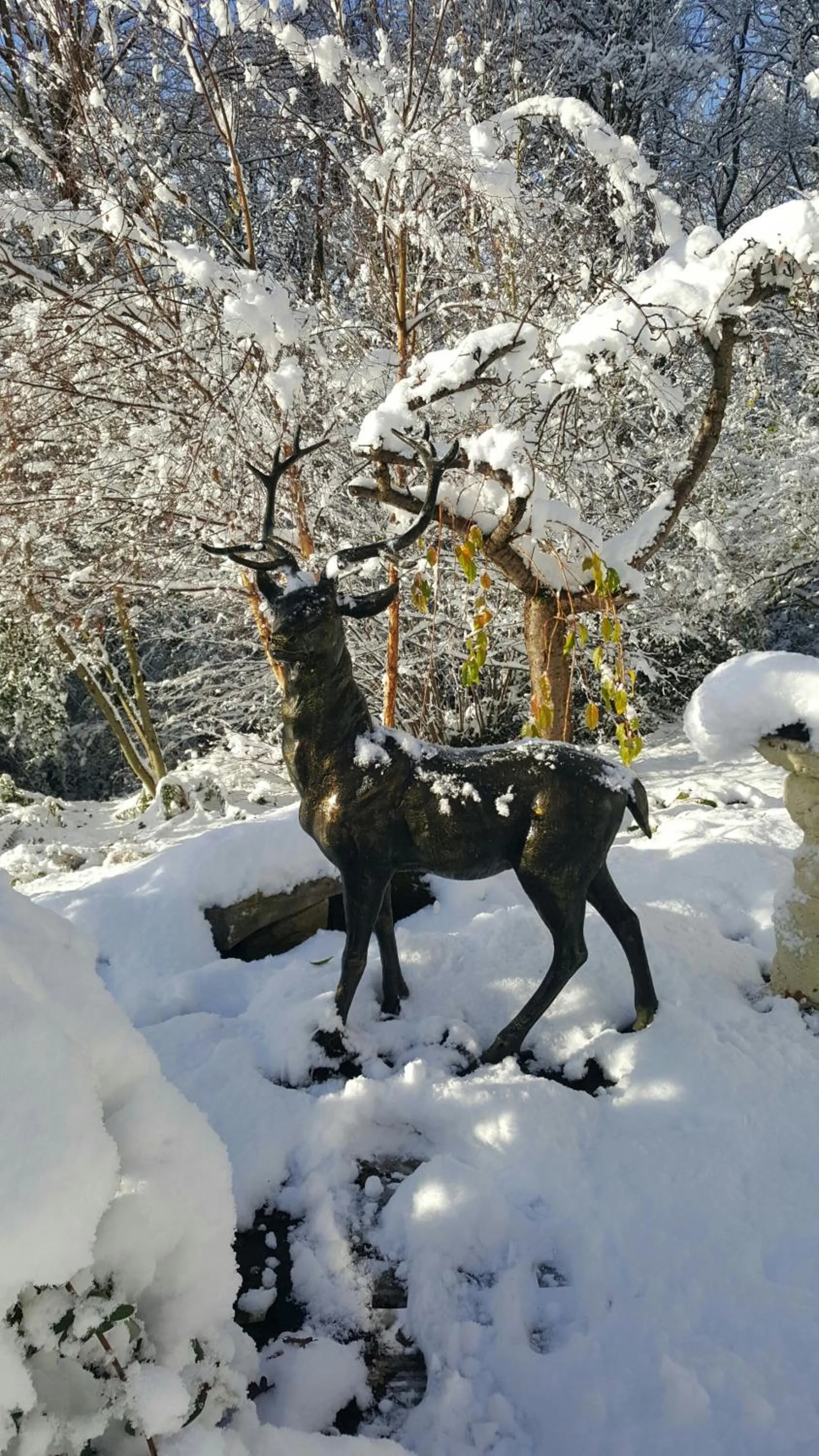 Natural landscape in Ironbridge Lodge