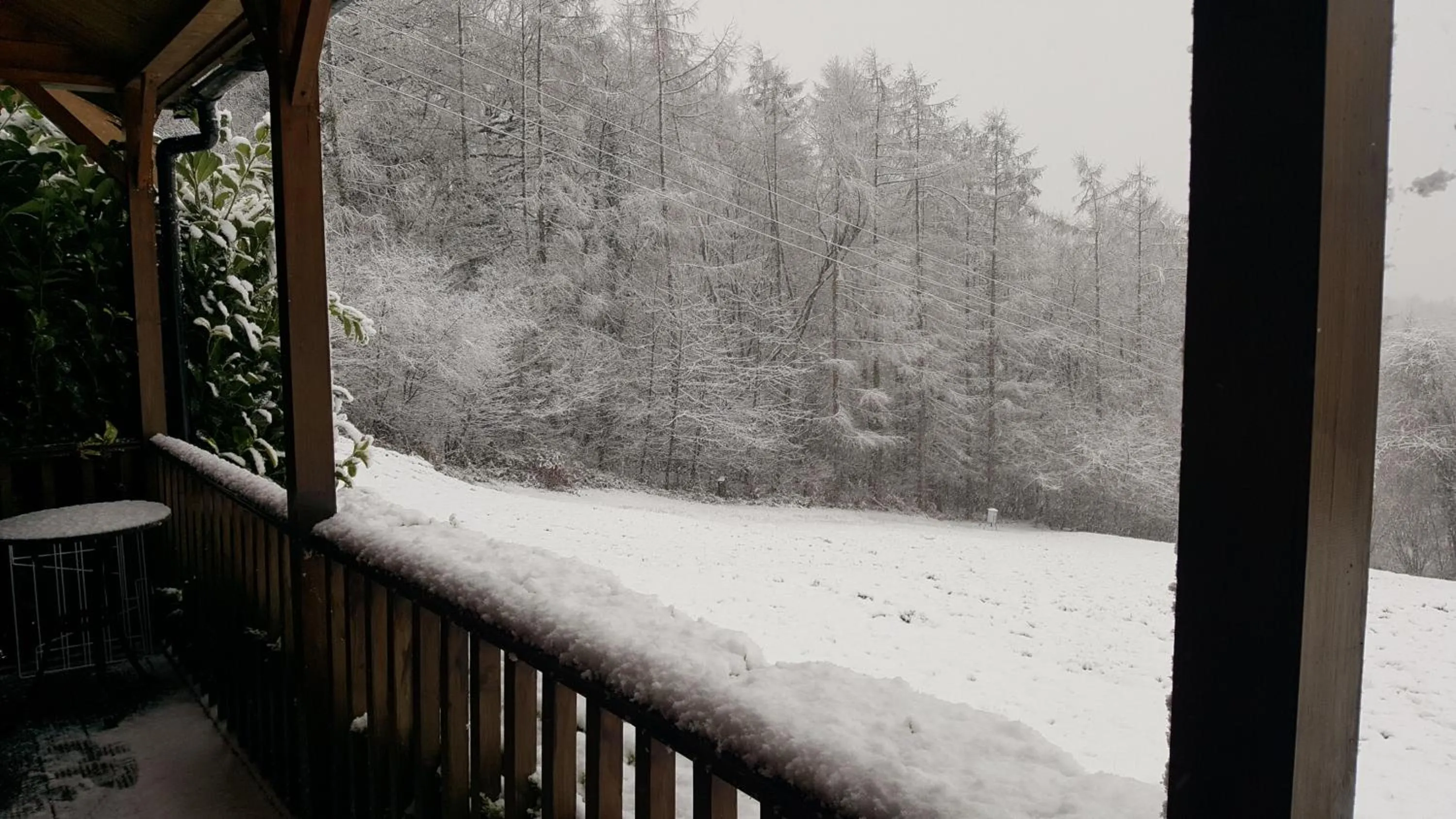 Natural landscape in Ironbridge Lodge