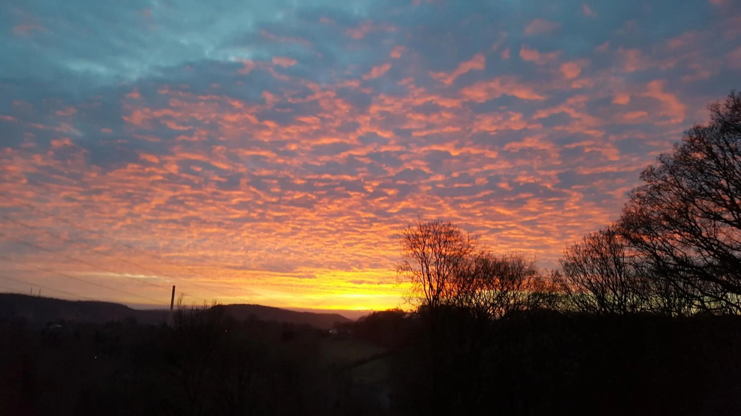 Natural landscape in Ironbridge Lodge