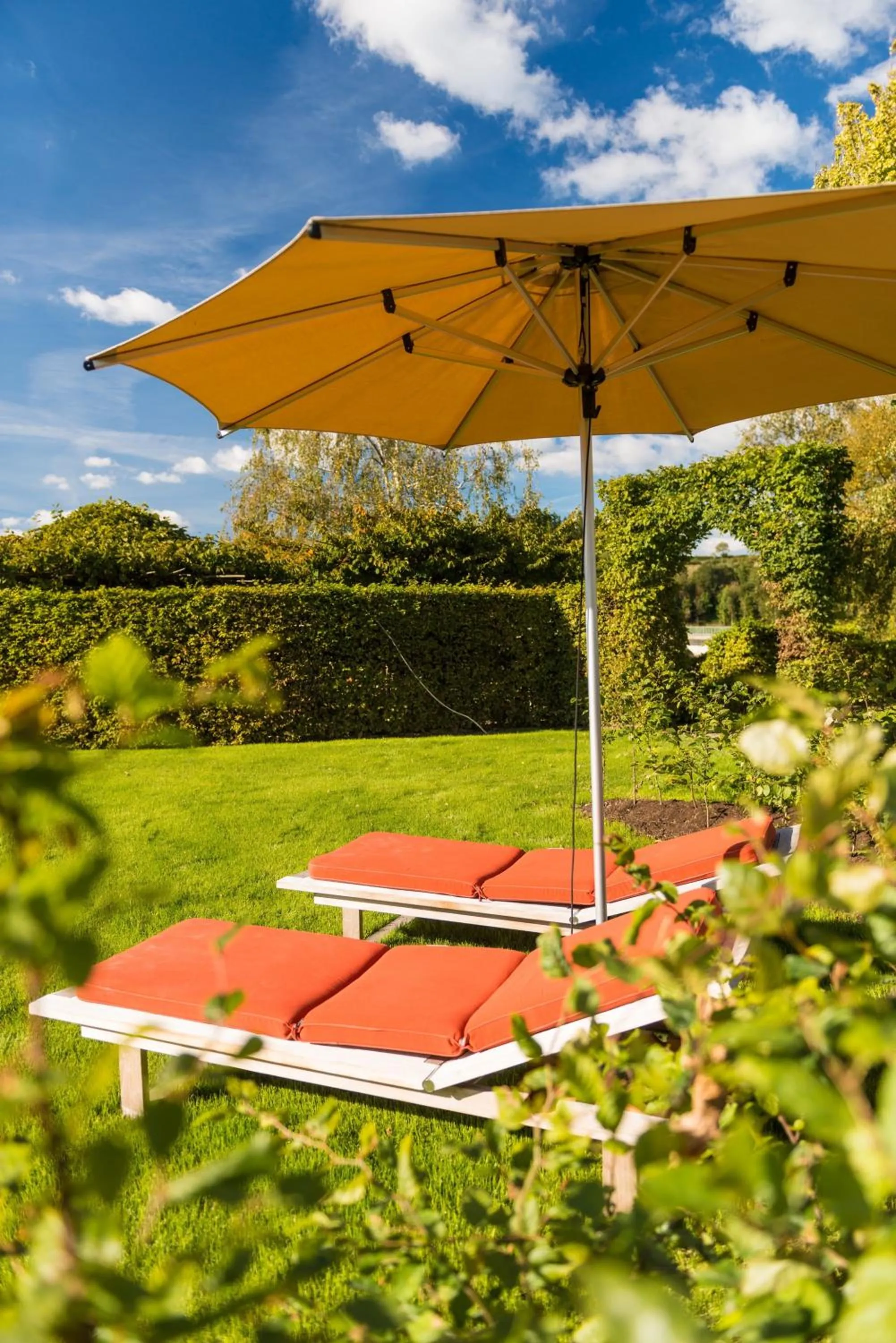 Garden in Hotel des Bains & Wellness