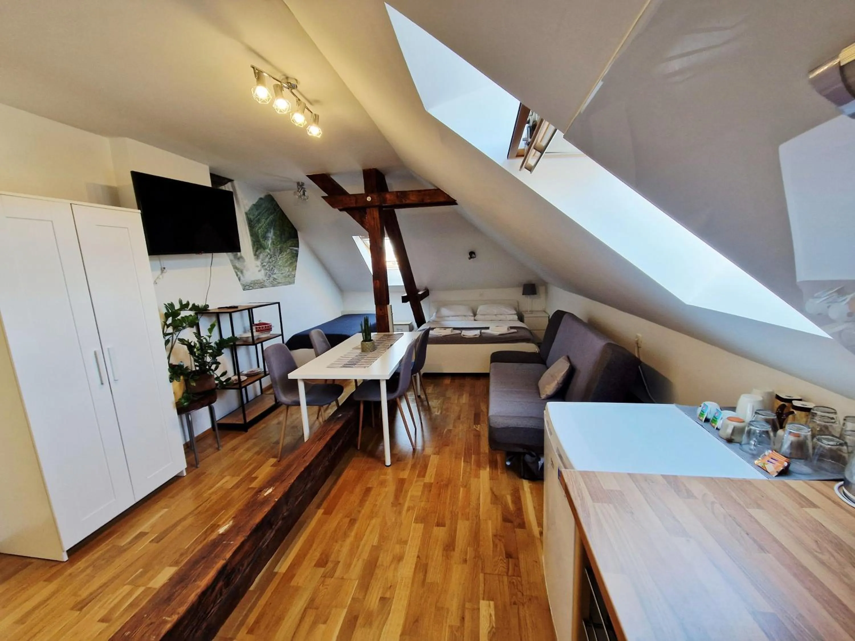 Attic Apartment in B&B Vila Teslova