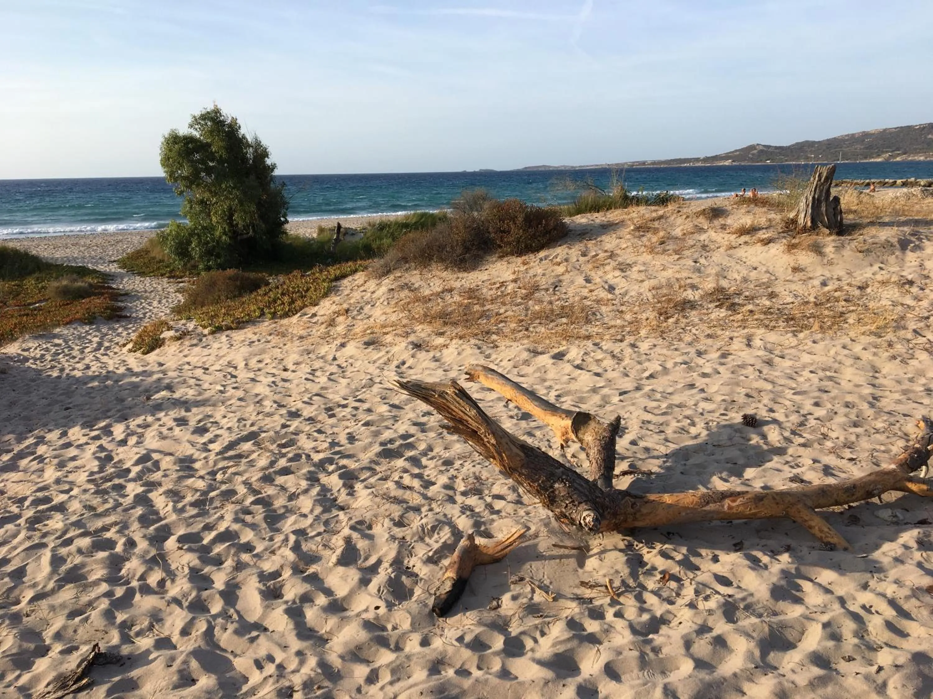 Natural landscape in Camping Dolce Vita