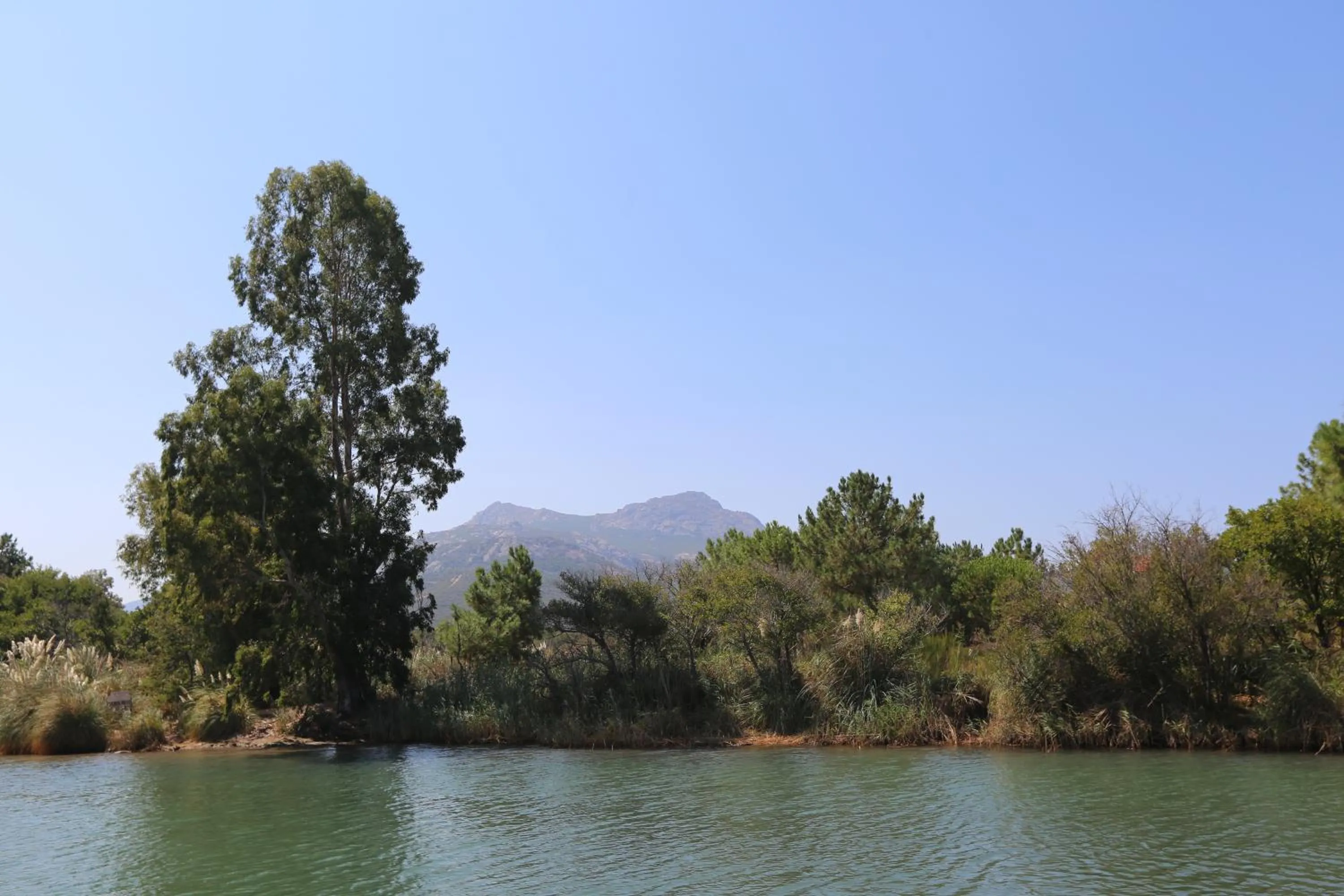 Neighbourhood in Camping Dolce Vita