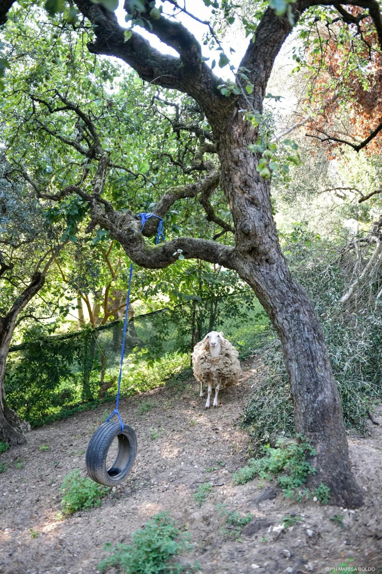 Garden in Villa Isidoro ampio parco ,piscina privata, arte e giochi , fitness