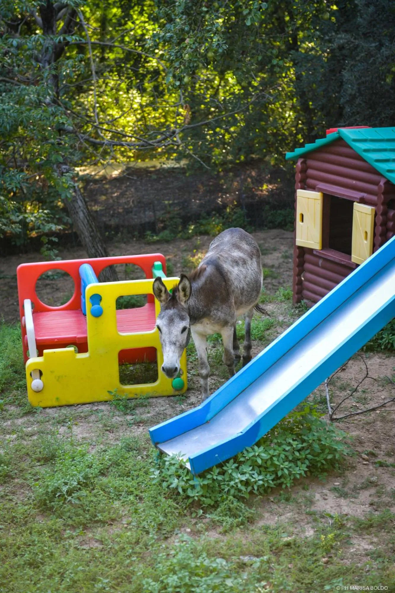Children play ground in Villa Isidoro ampio parco ,piscina privata, arte e giochi , fitness