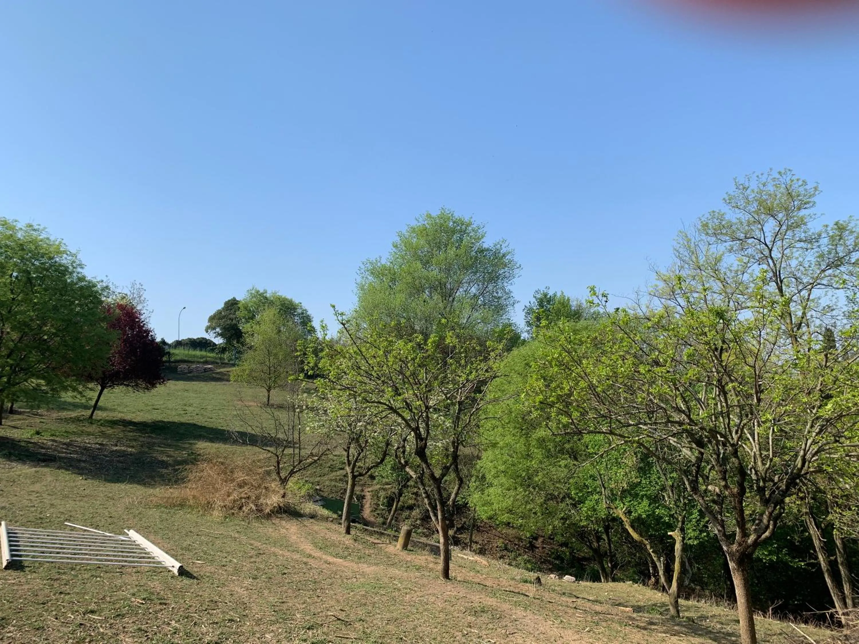 Natural landscape in Villa Isidoro ampio parco ,piscina privata, arte e giochi , fitness