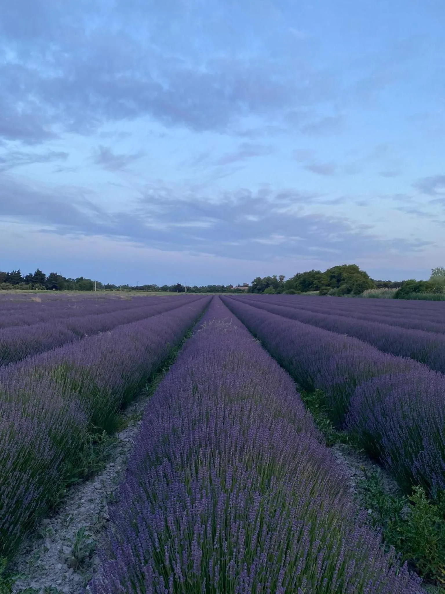 Le Moulin de Montségur