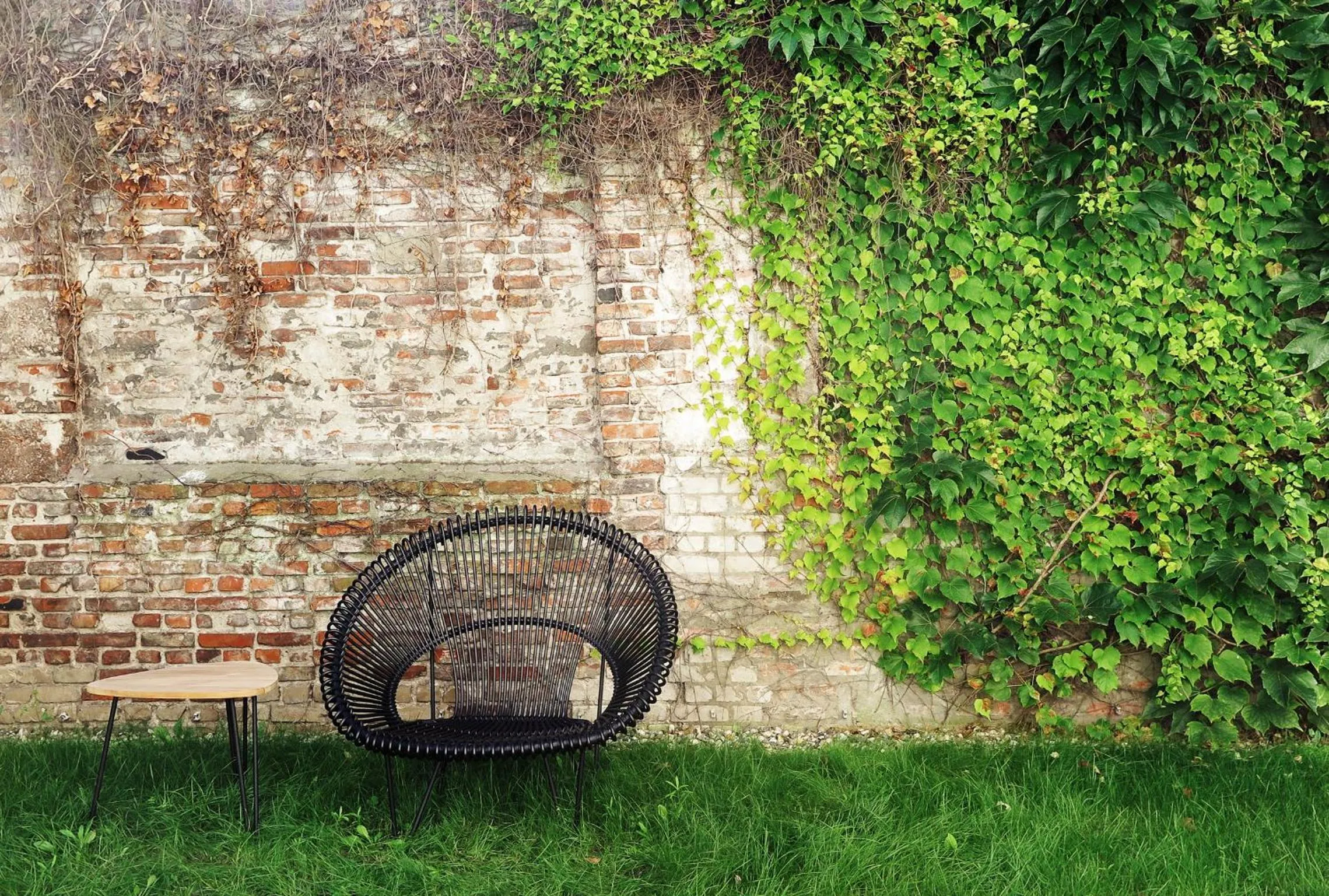 Garden in August The Boardinghouse