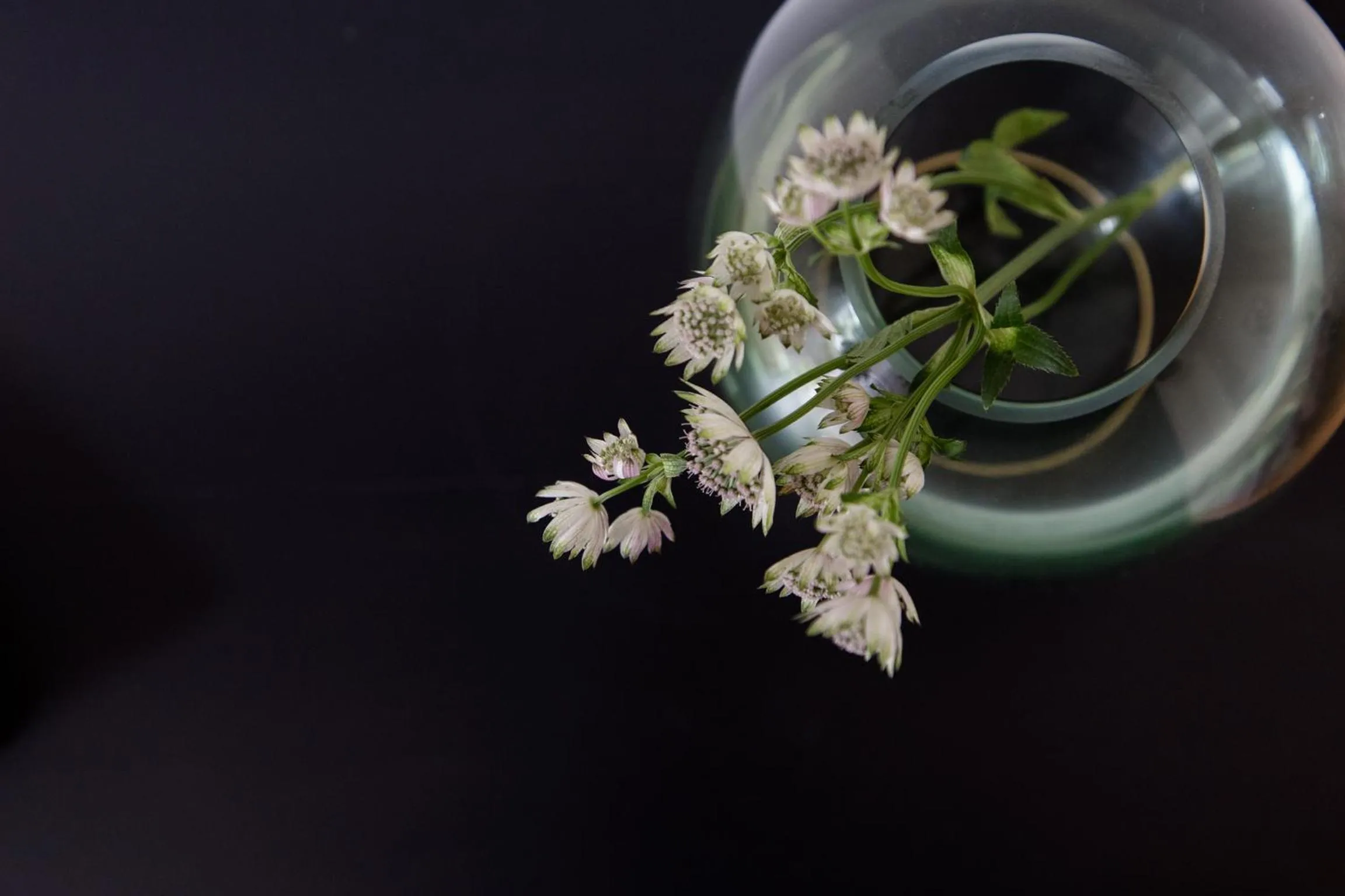 Decorative detail in August The Boardinghouse