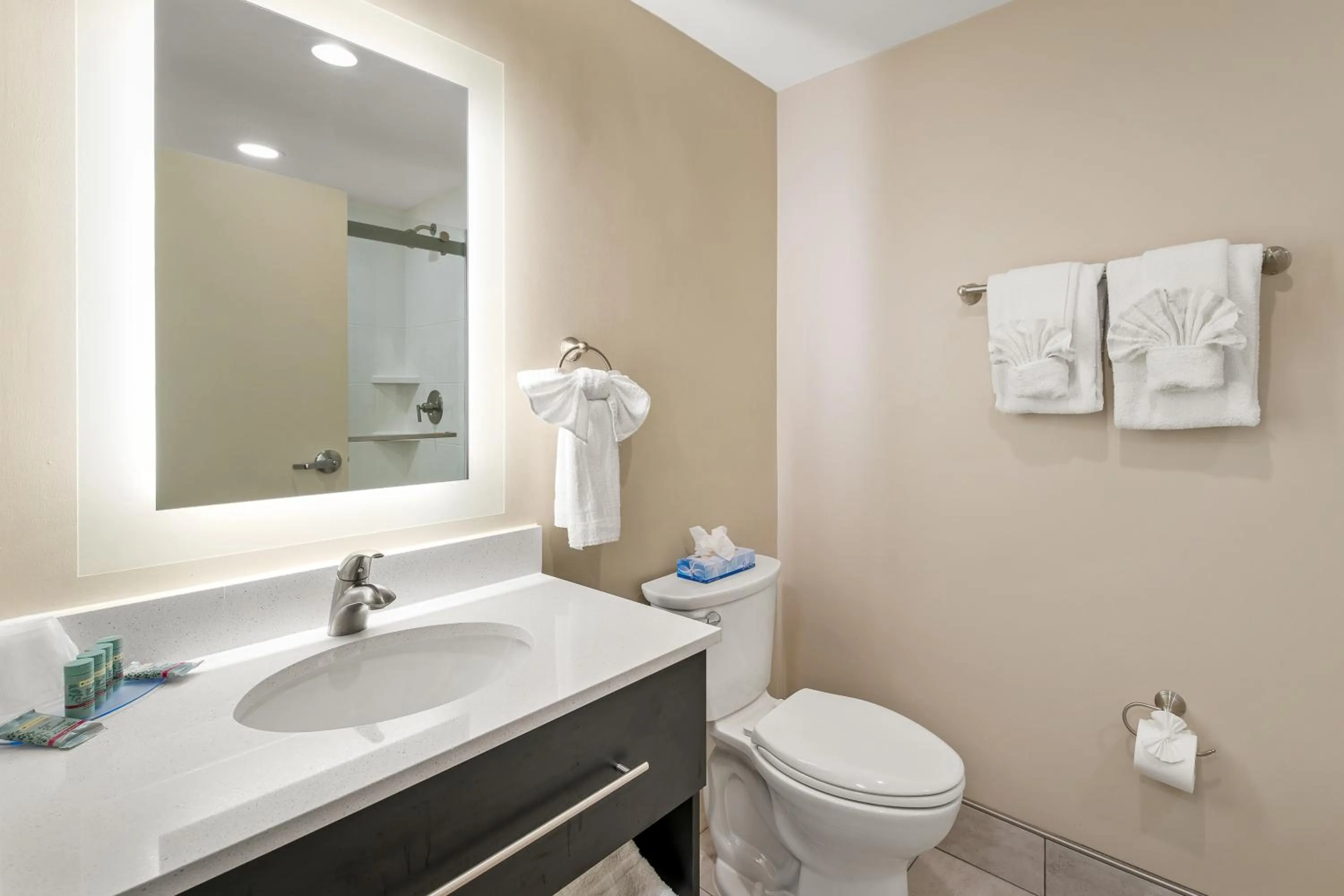 Bathroom in The English Inn of Charlottesville