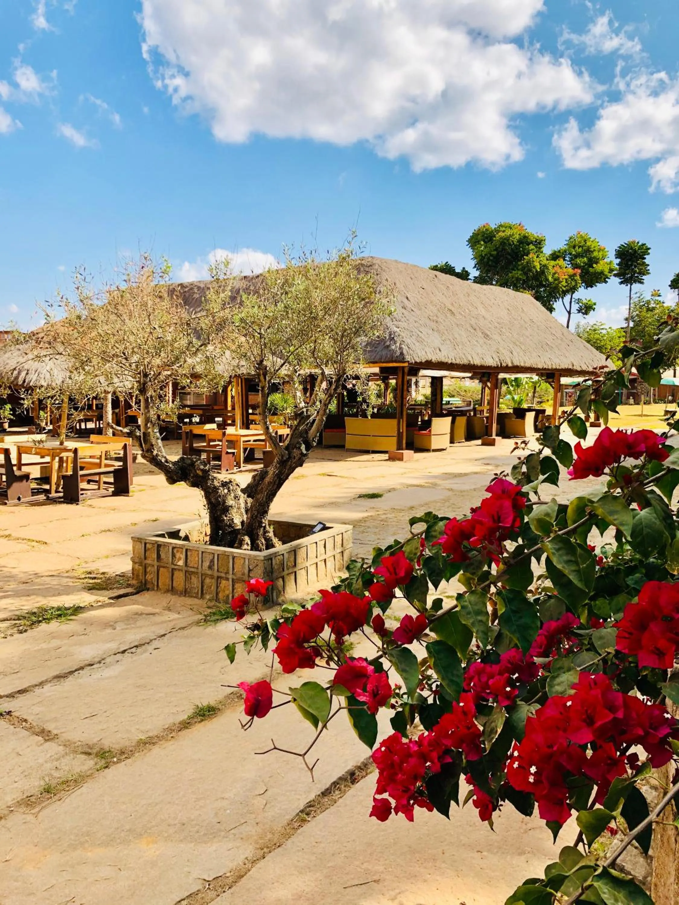 View (from property/room) in Le Chat'o Park Hotel Ivato Airport NAVETTE GRATUITE H24