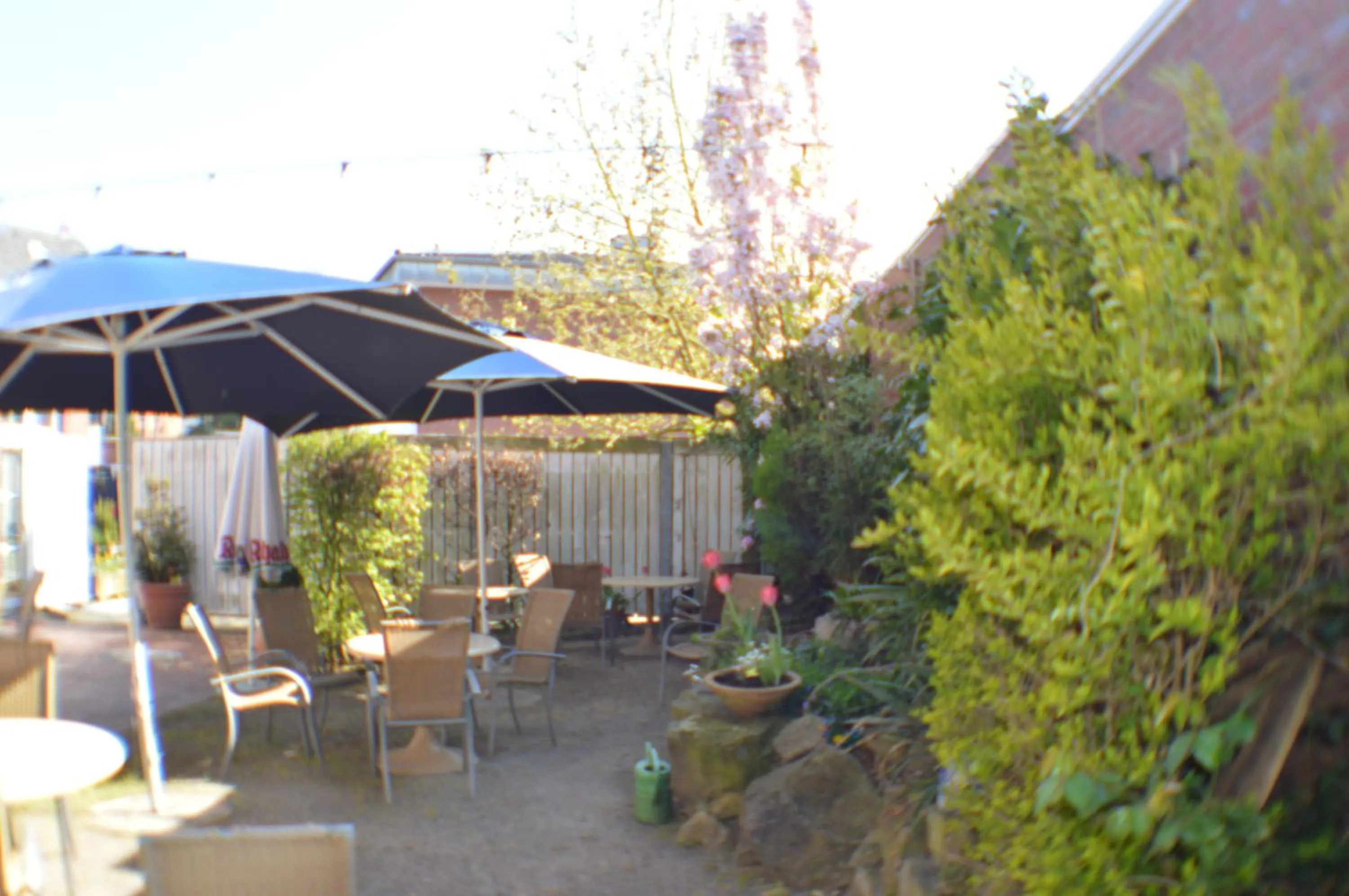Balcony/Terrace in Hotel Altes Gasthaus Düsterbeck