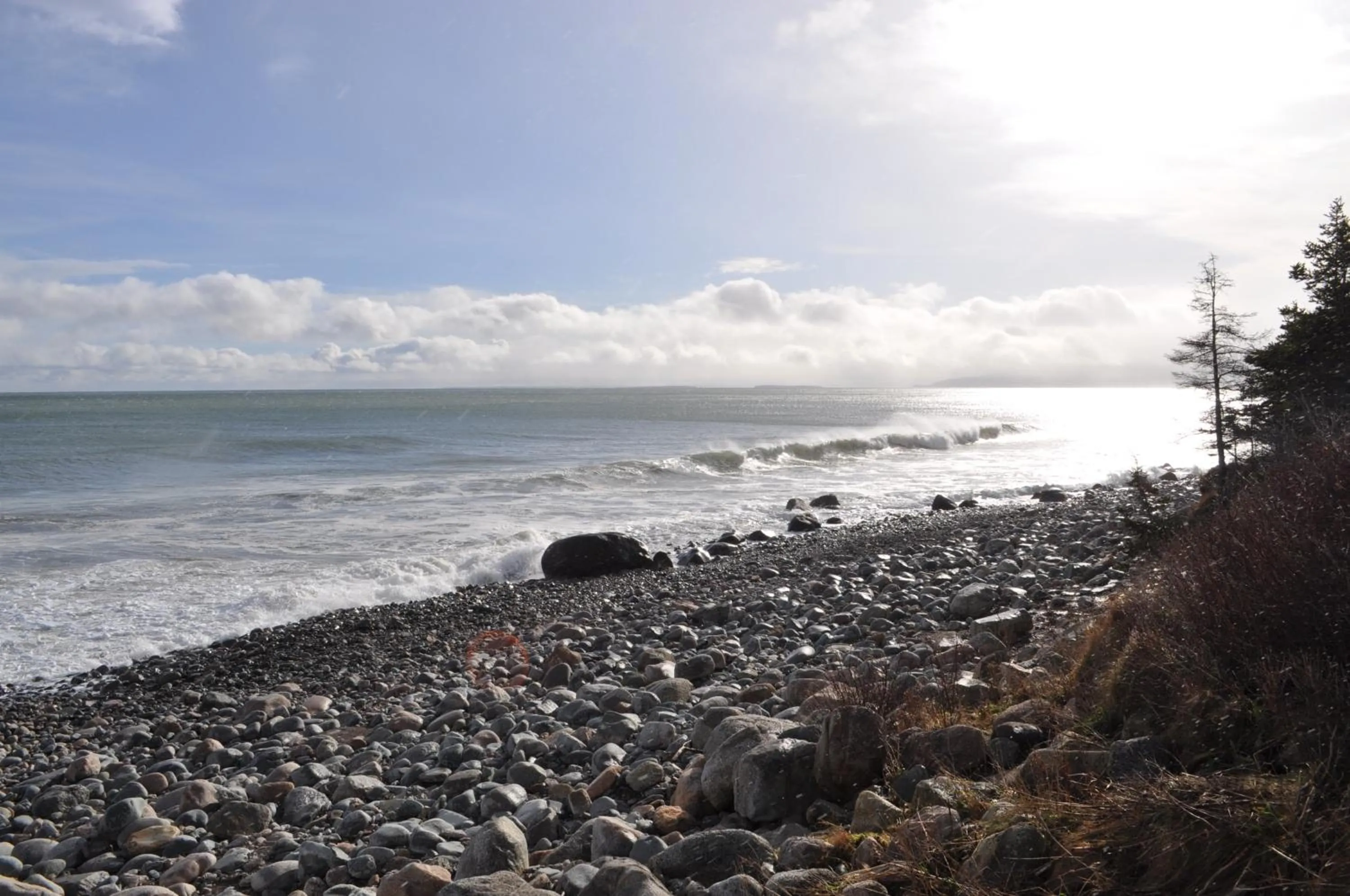 Natural landscape in The ZzzzMoose 2 0 Camping Cabin