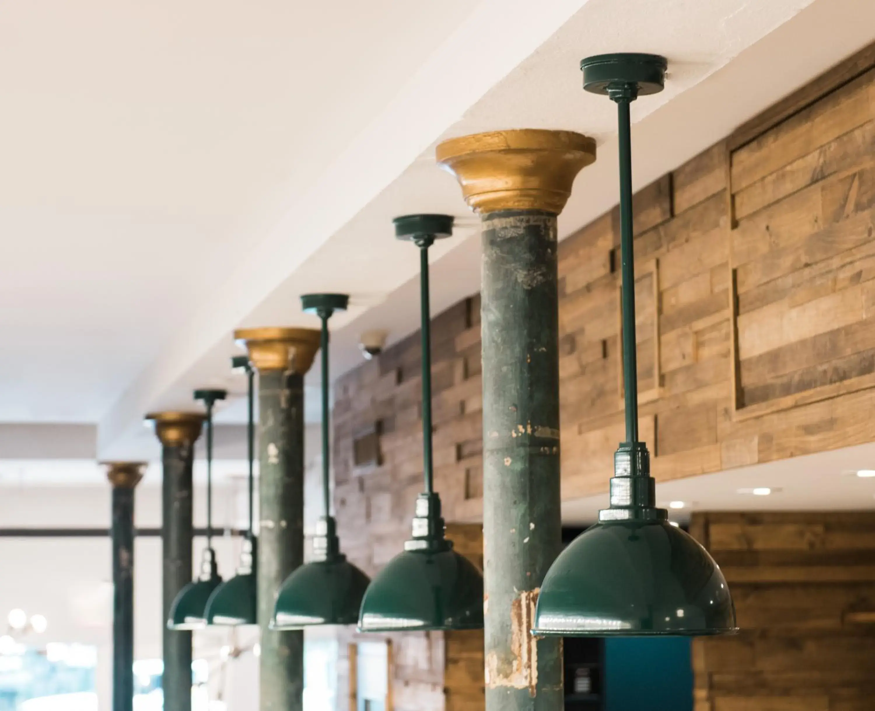 The Quisby The Quisby