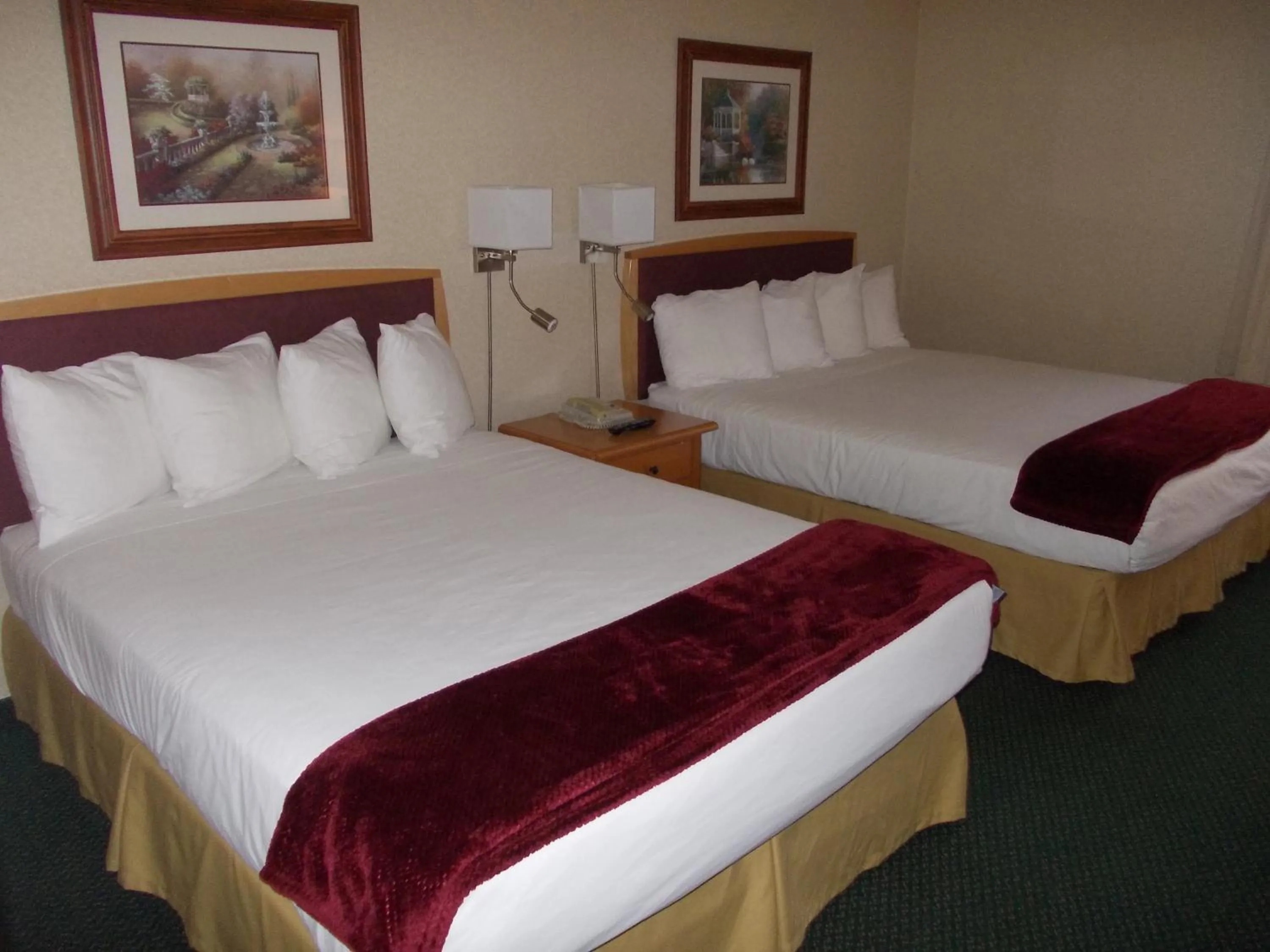 Bed in Rocky Inn Express