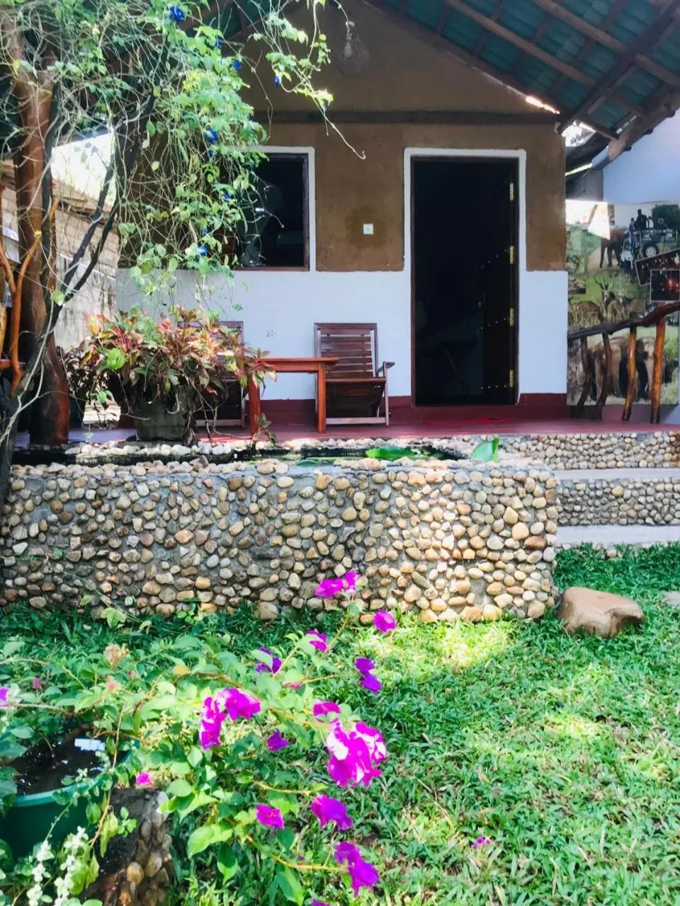 Spring in Nature lovers Safari Cottage