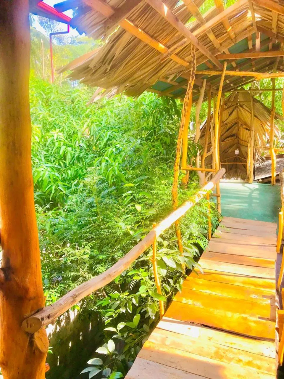 Nature lovers Safari Cottage