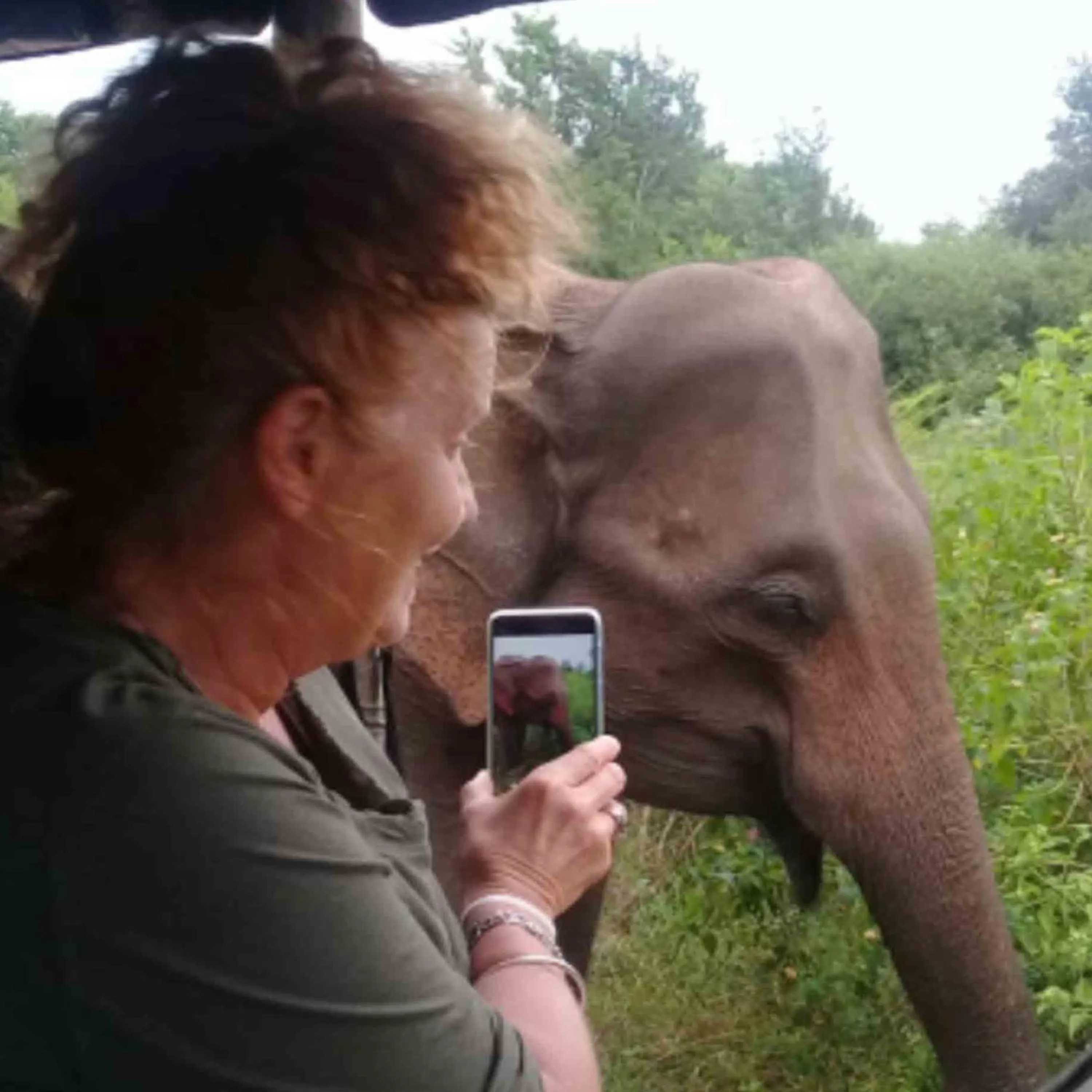 Other in Nature lovers Safari Cottage