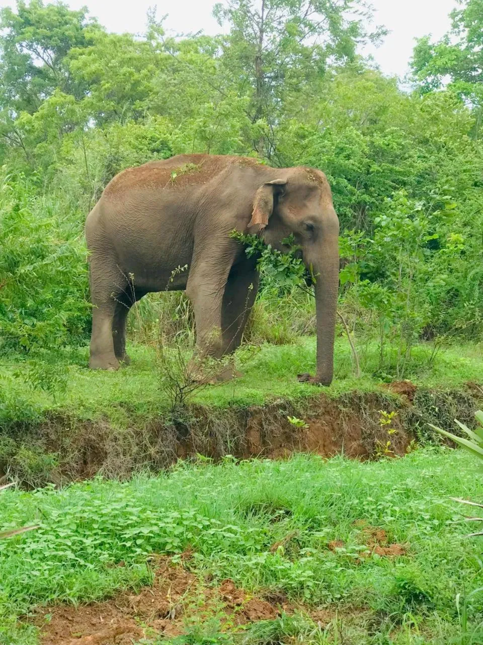 Nature lovers Safari Cottage
