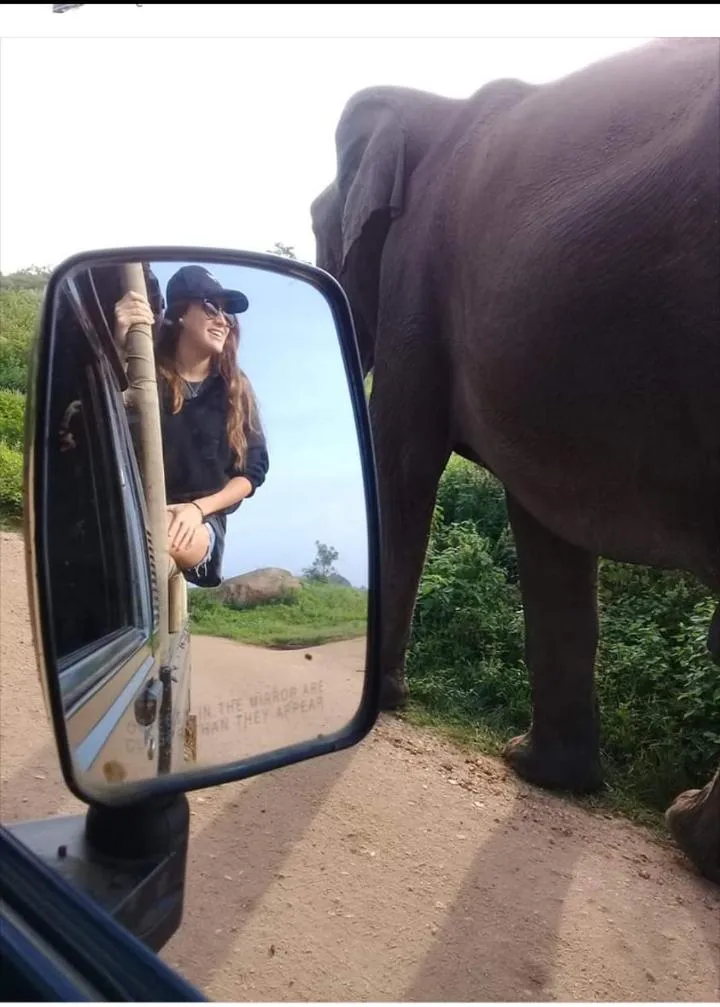 Other in Nature lovers Safari Cottage