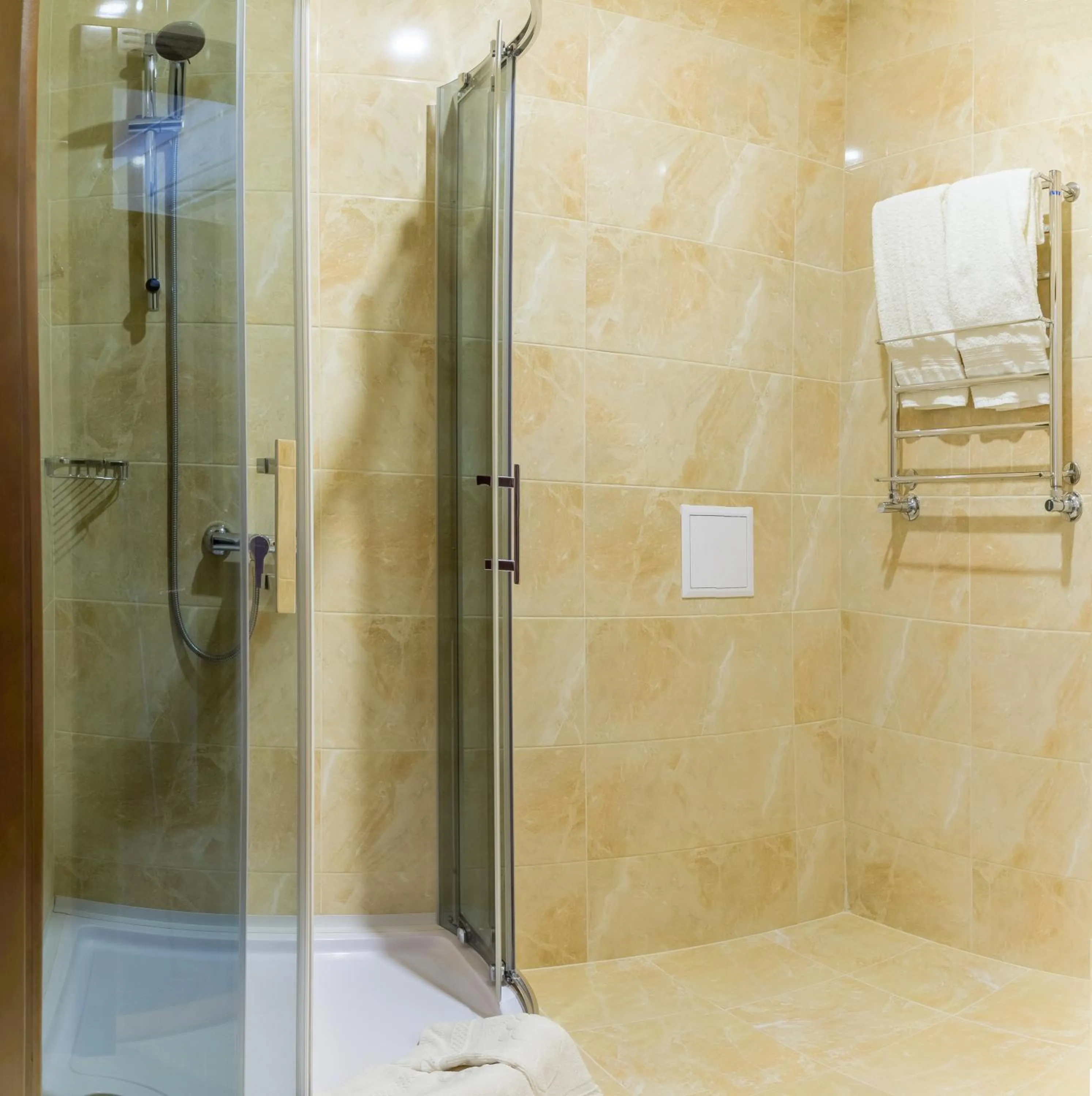 Economy Twin Room in Hotel Patriarshyi