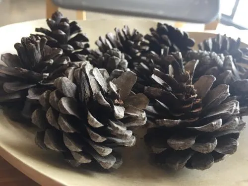 Away 23 Estate at Khaoyai