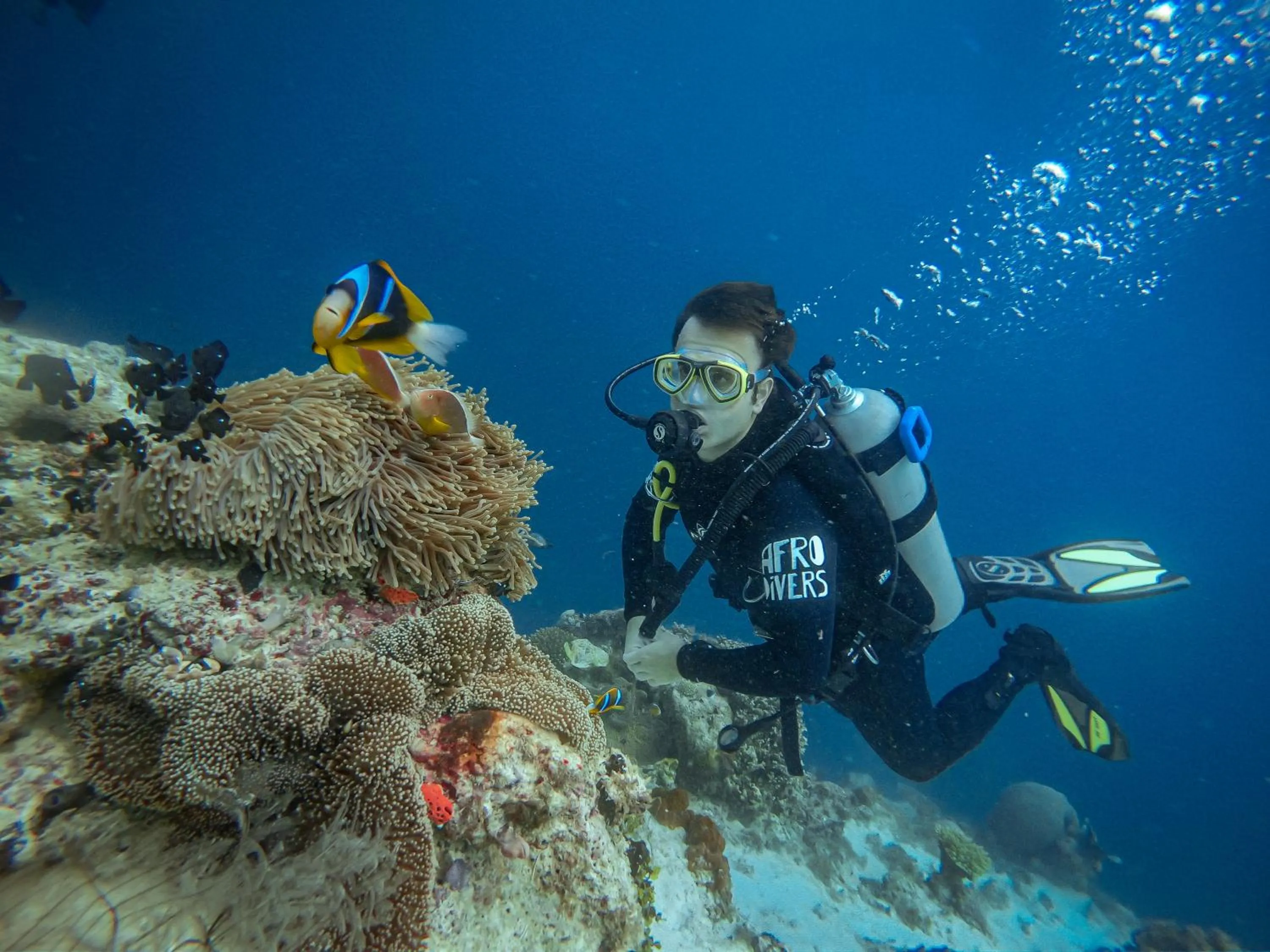 Nearby landmark in Pemba Paradise