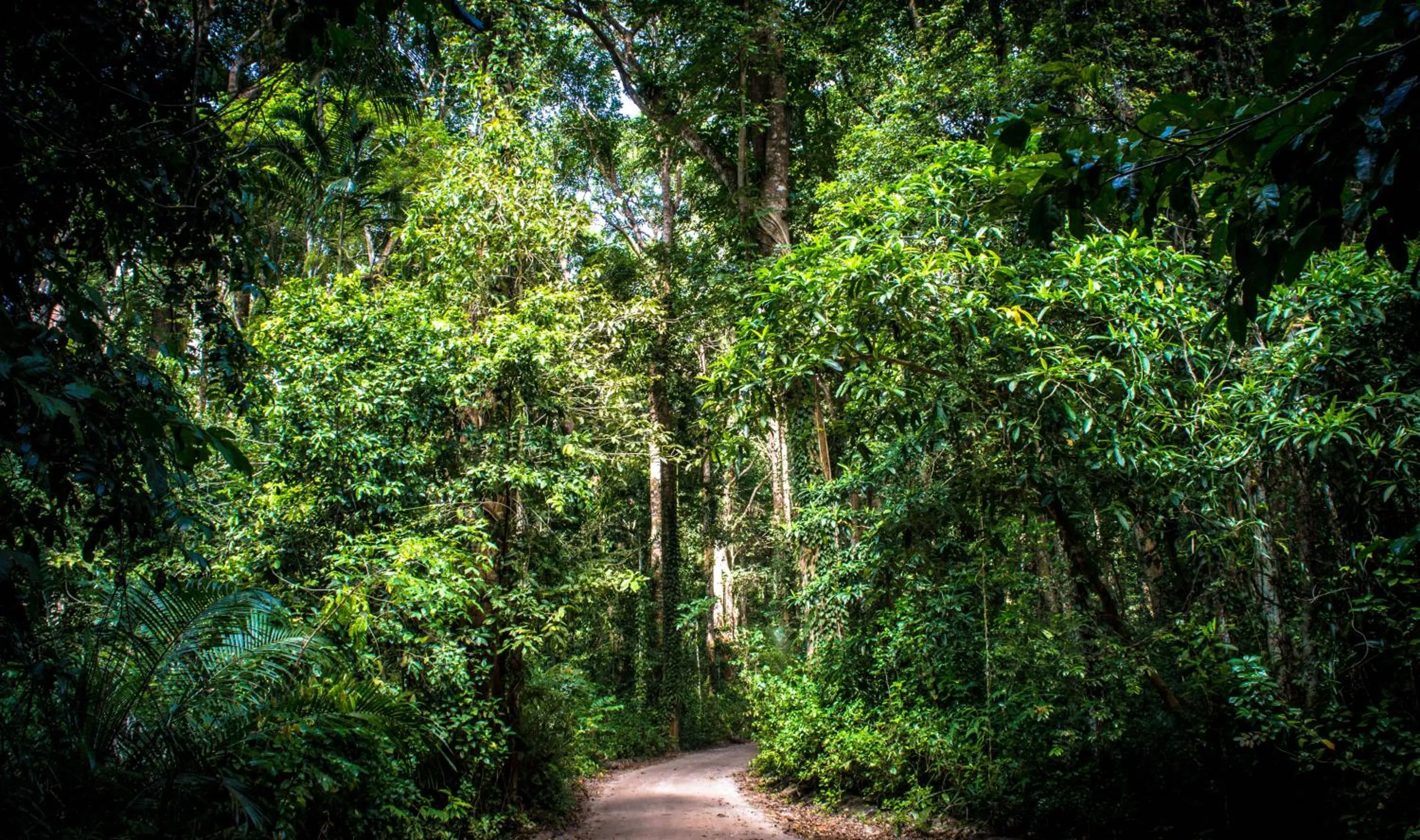 Natural landscape in Pemba Paradise