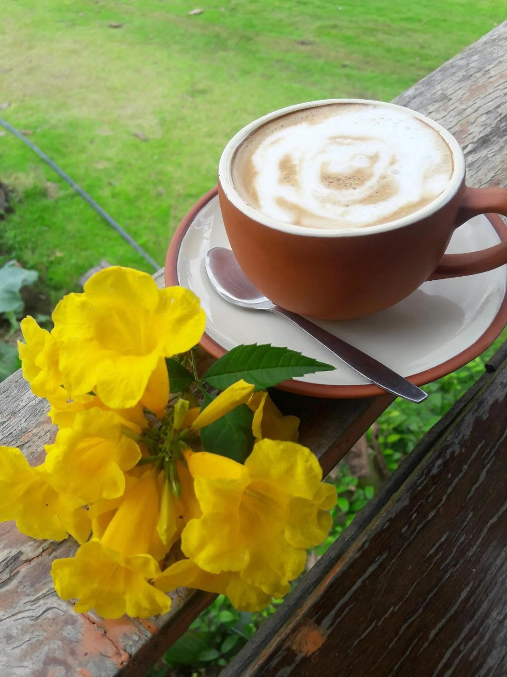 Non alcoholic drinks in COOLLiving Farmhouse Organic