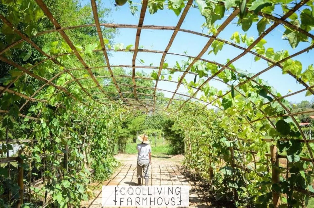 Garden view in COOLLiving Farmhouse Organic