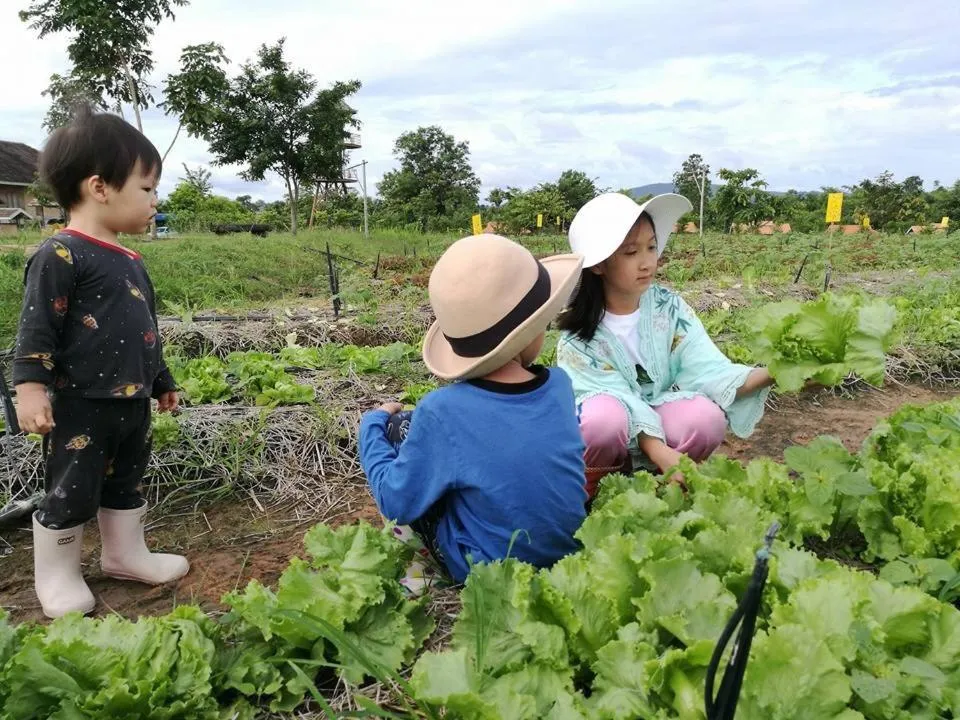 Activities in COOLLiving Farmhouse Organic
