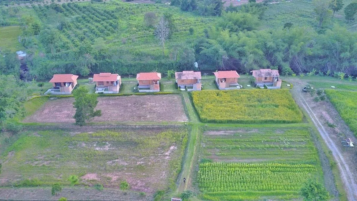 COOLLiving Farmhouse Organic