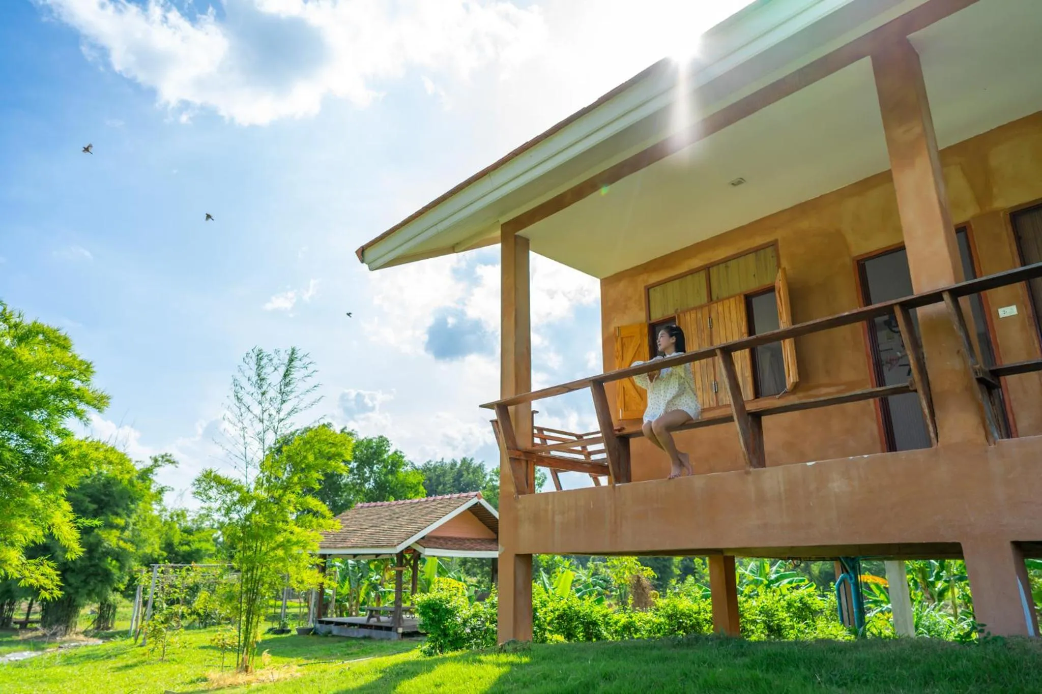 Patio in COOLLiving Farmhouse Organic