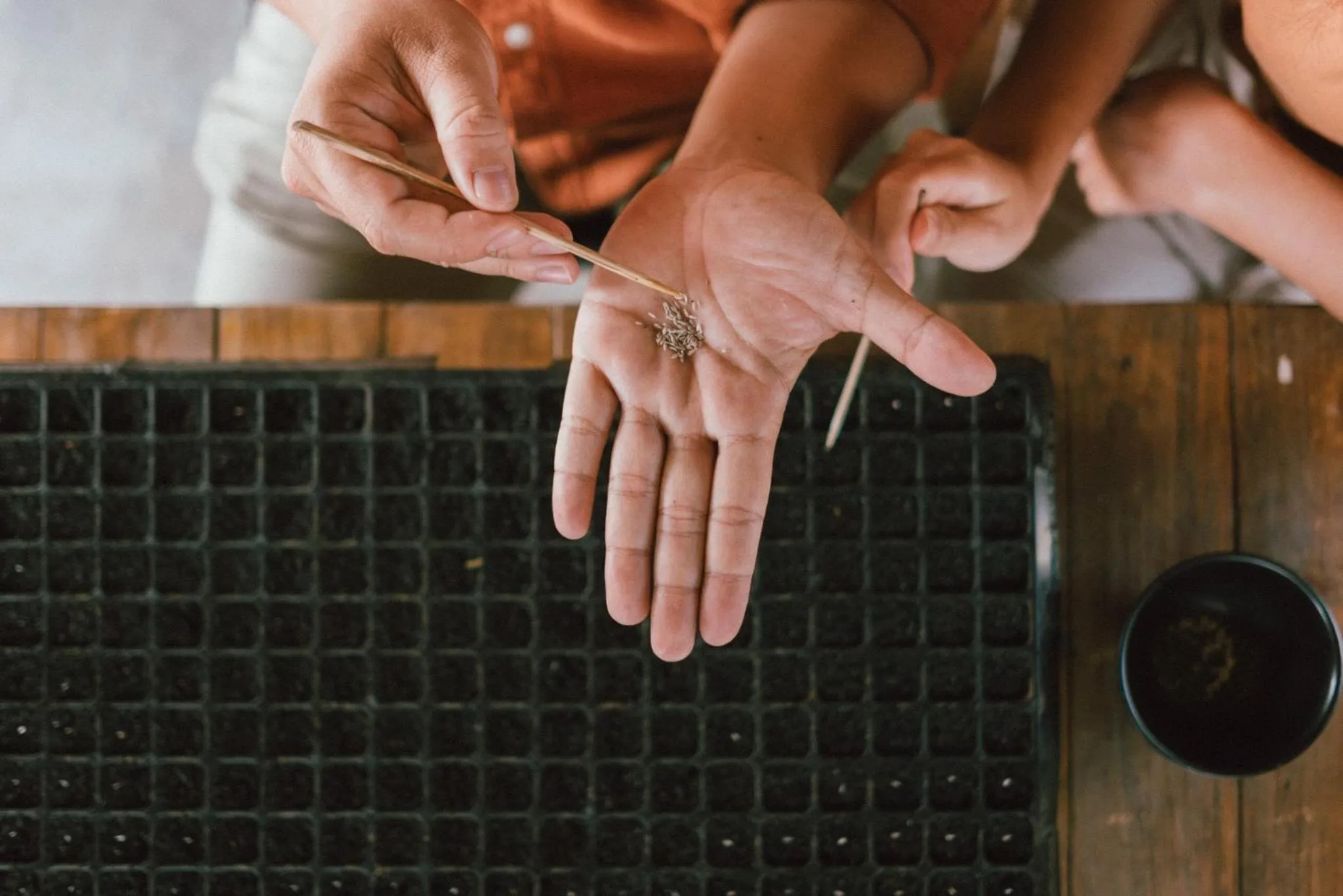 Activities in COOLLiving Farmhouse Organic