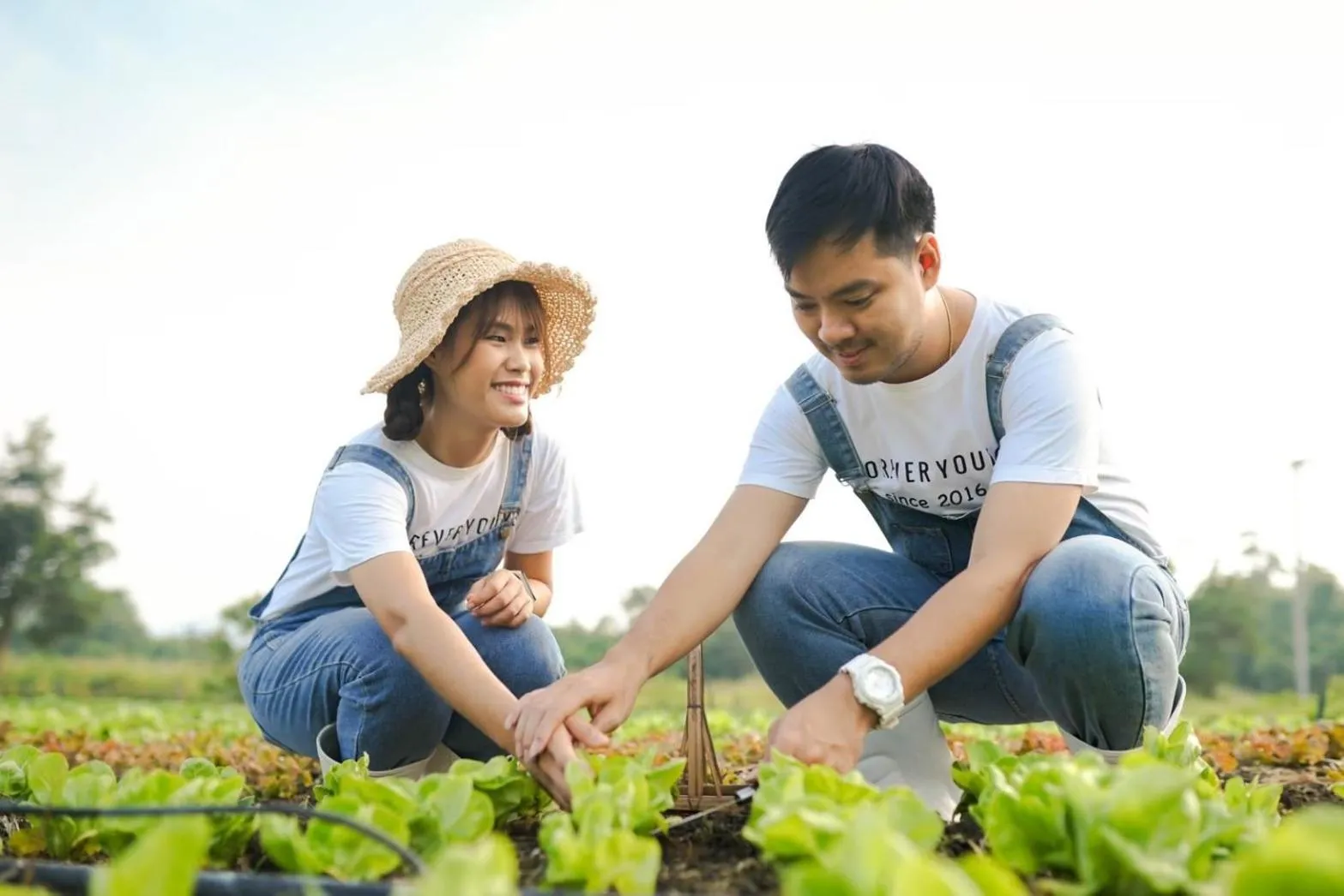 Activities in COOLLiving Farmhouse Organic