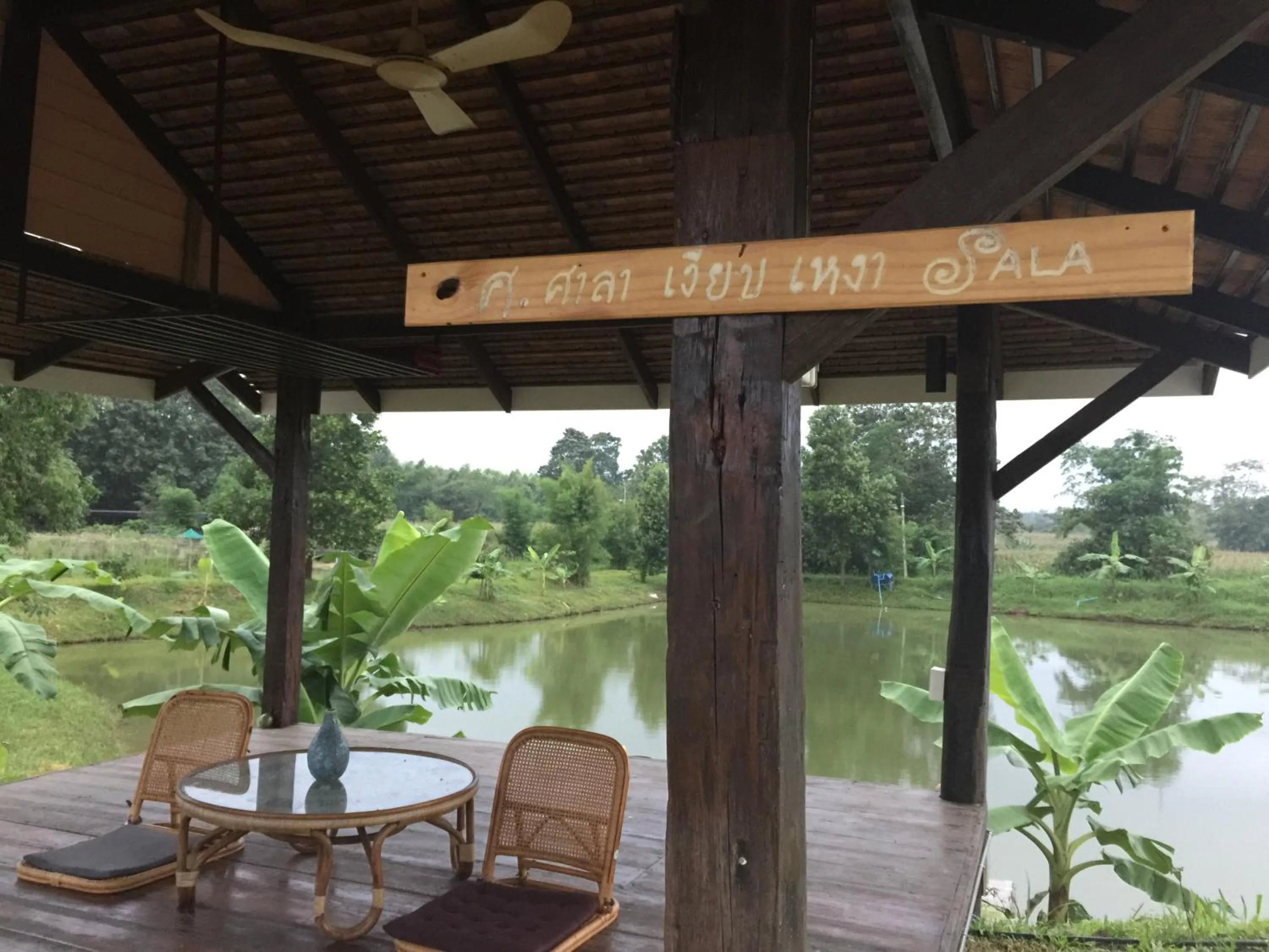 Beach in COOLLiving Farmhouse Organic