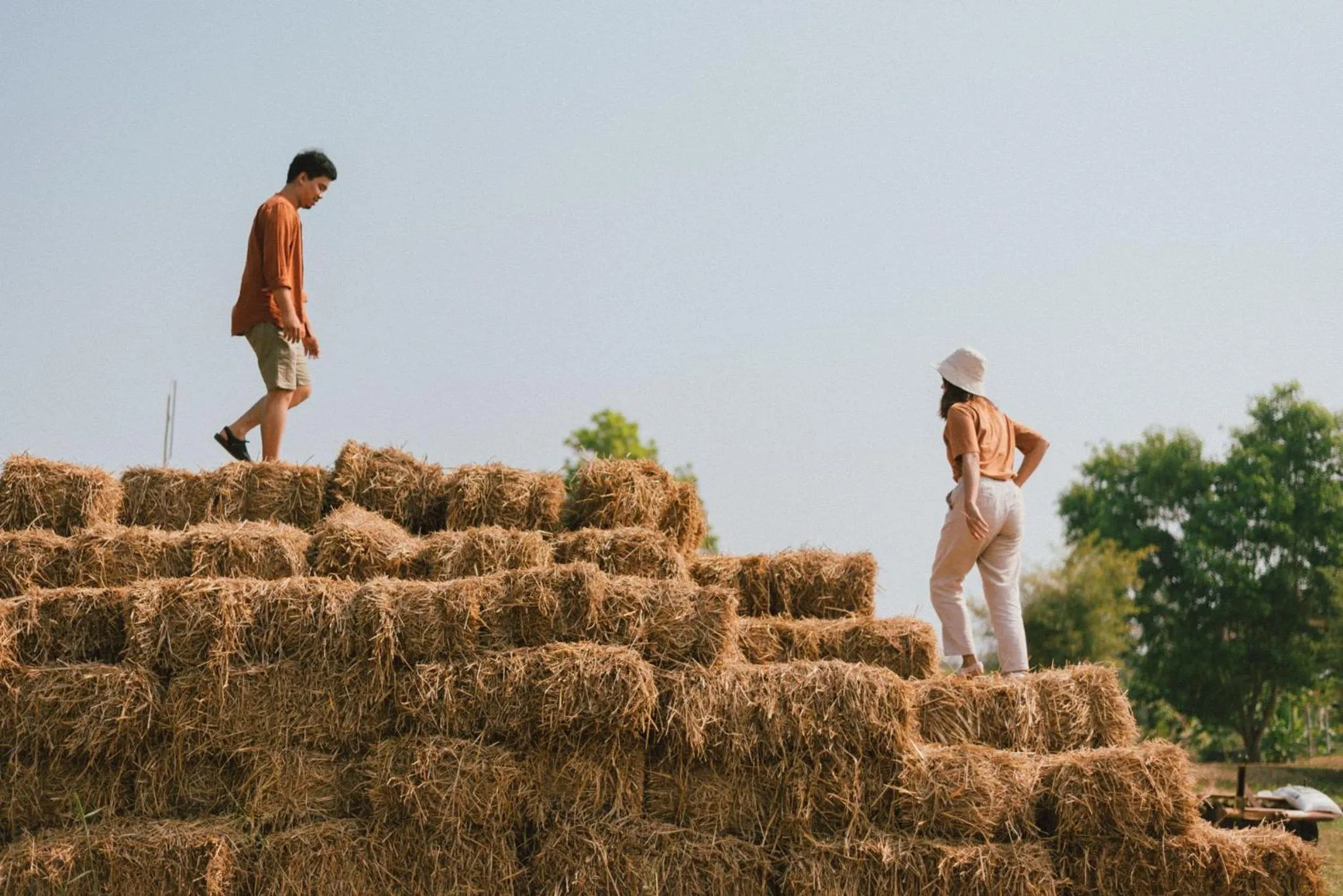 View (from property/room) in COOLLiving Farmhouse Organic
