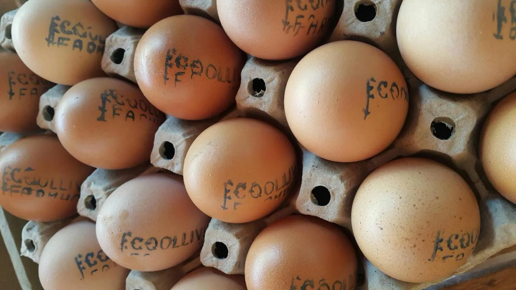 Food in COOLLiving Farmhouse Organic